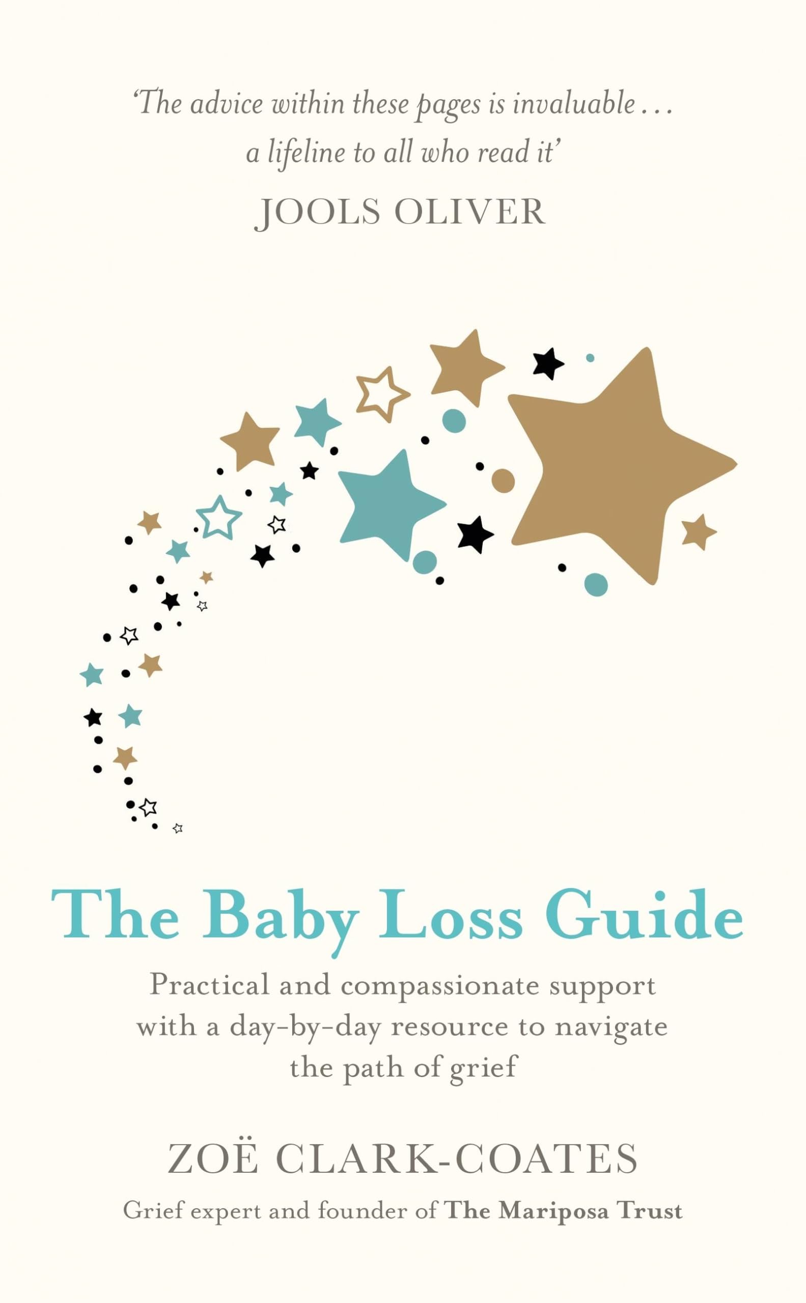 The Baby Loss Guide: Practical and compassionate support with a day-by-day resource to navigate the path of grief book