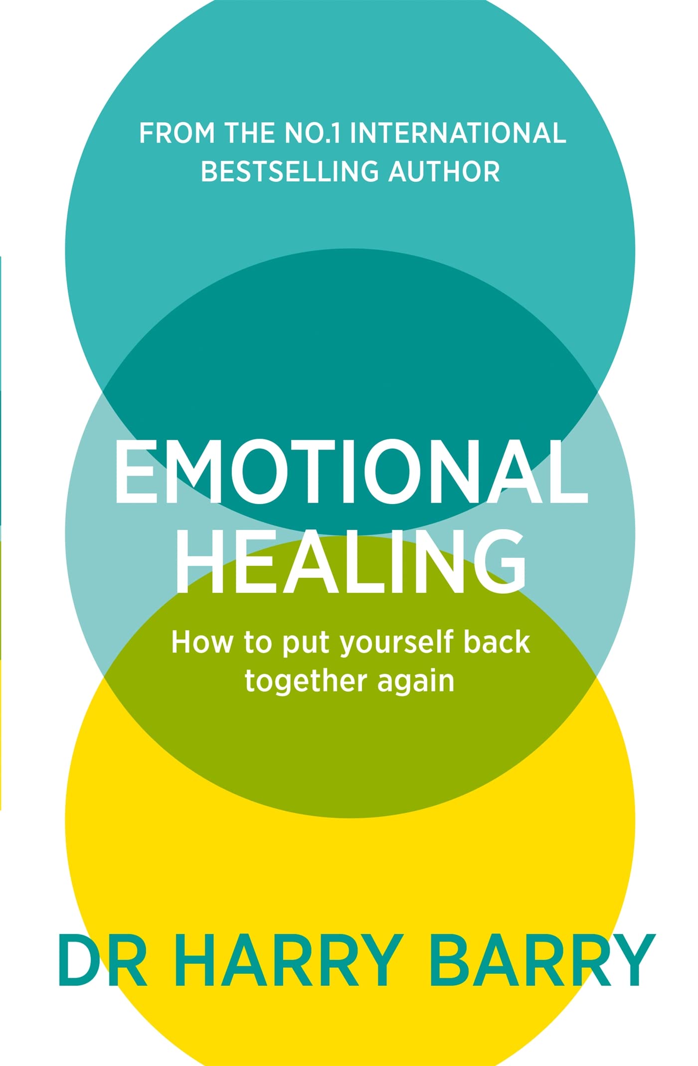 Emotional Healing: How To Put Yourself Back Together Again book