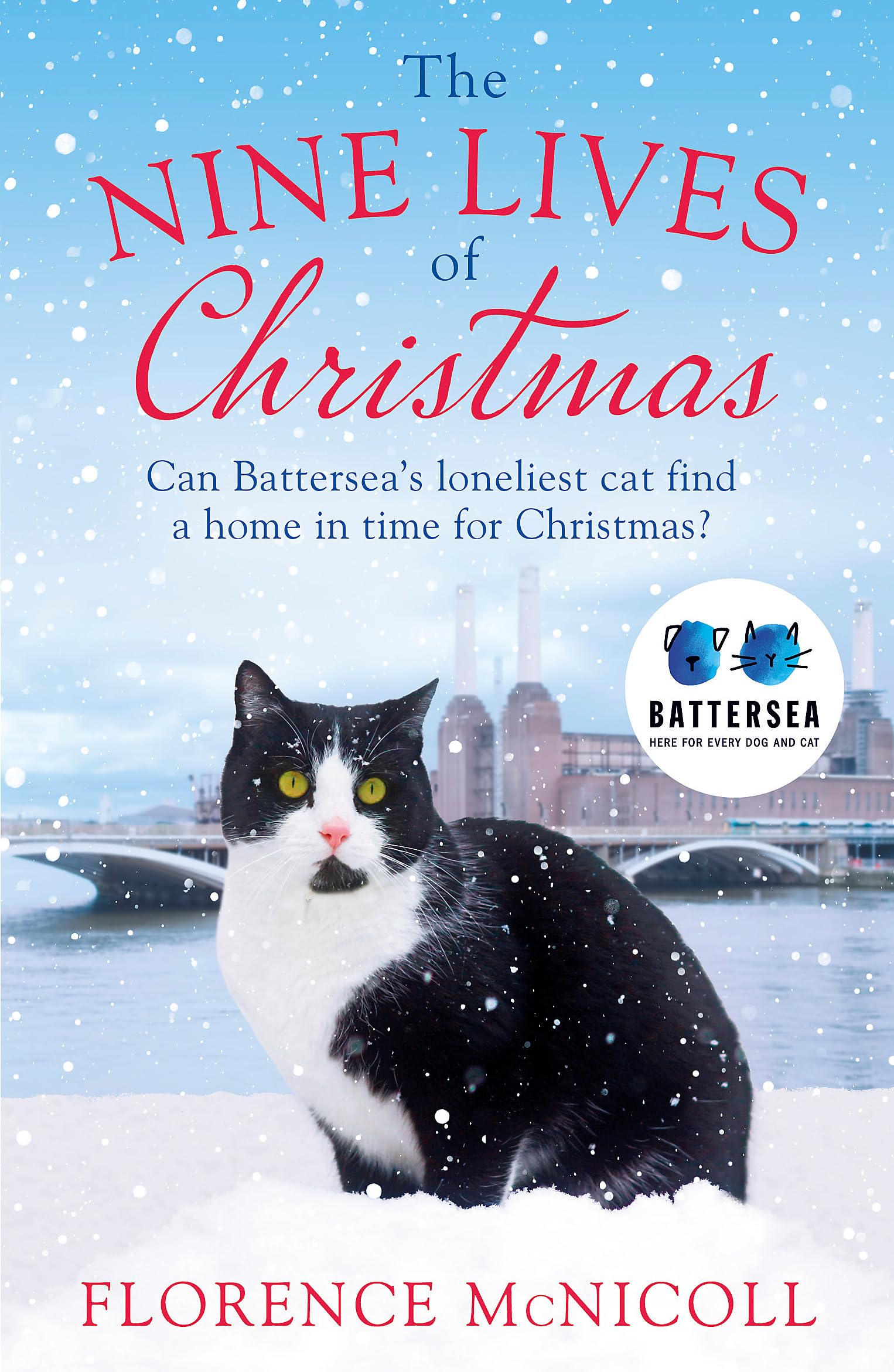 The Nine Lives of Christmas: Can Battersea's Felicia find a home in time for the holidays? Social Sciences