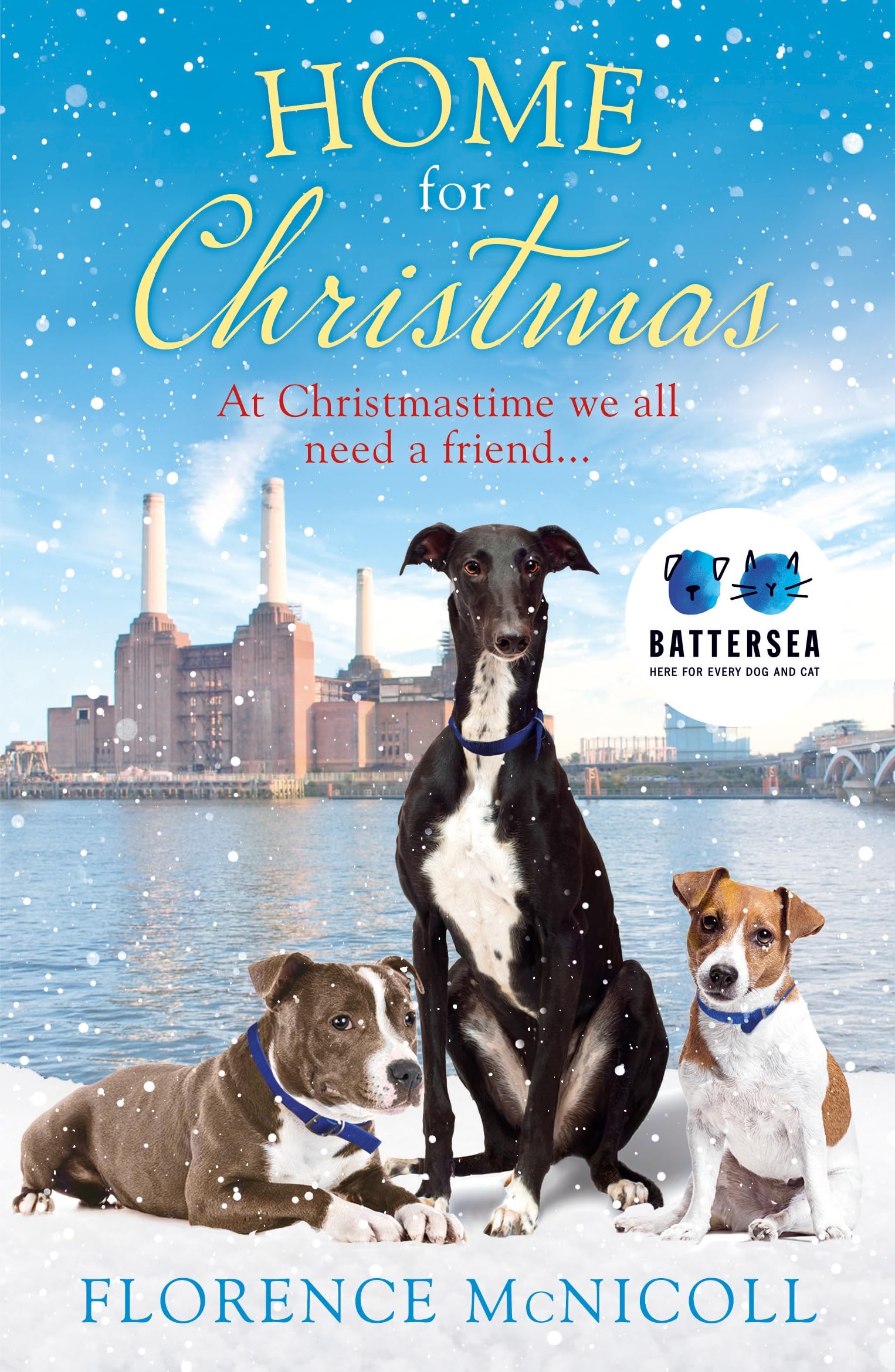 Home for Christmas: The perfect book to curl up with this winter, in partnership with Battersea Dogs and Cats Home (The Battersea, 2) Contemporary literature Books