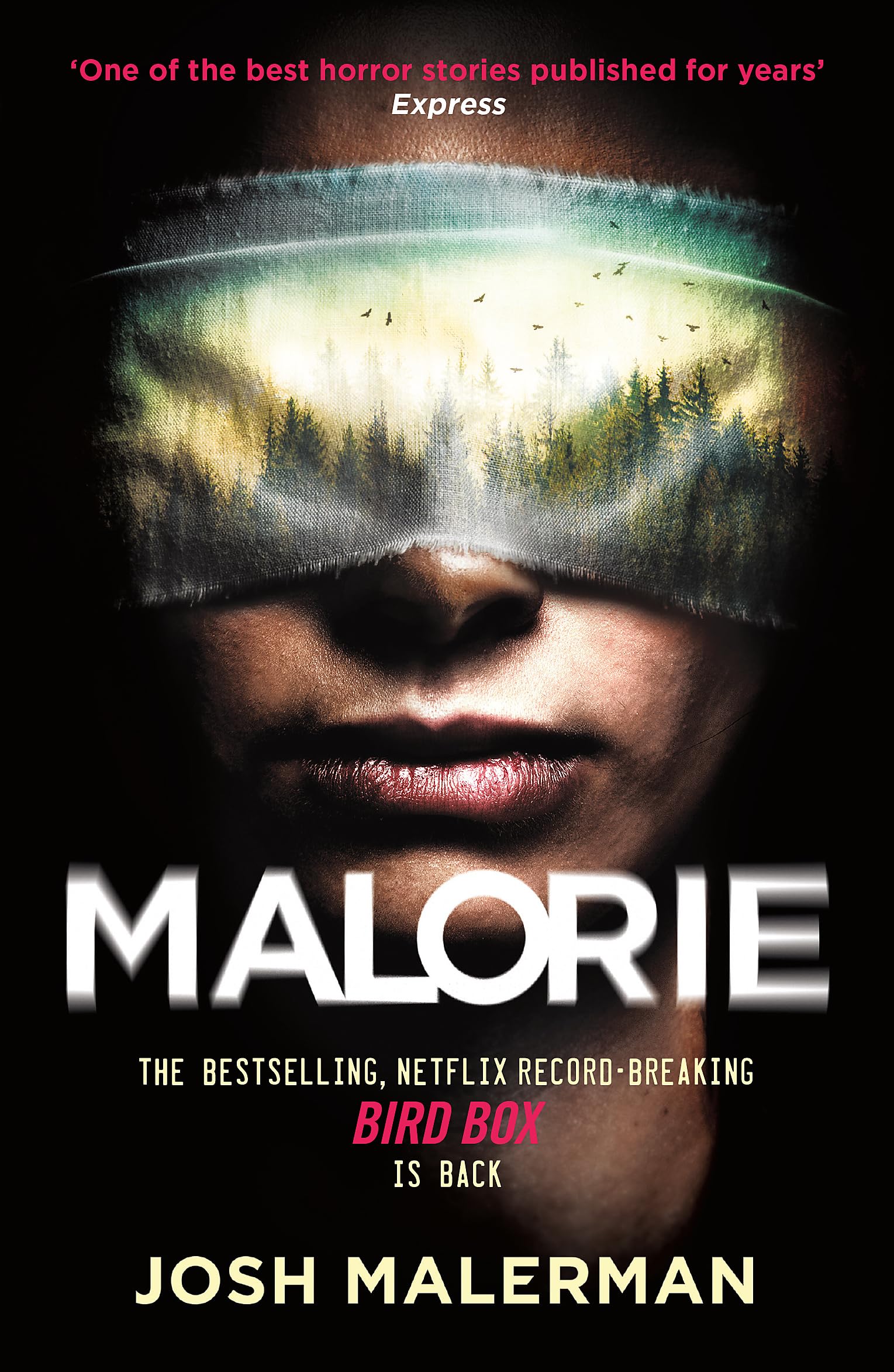 Malorie Horror & Mystery