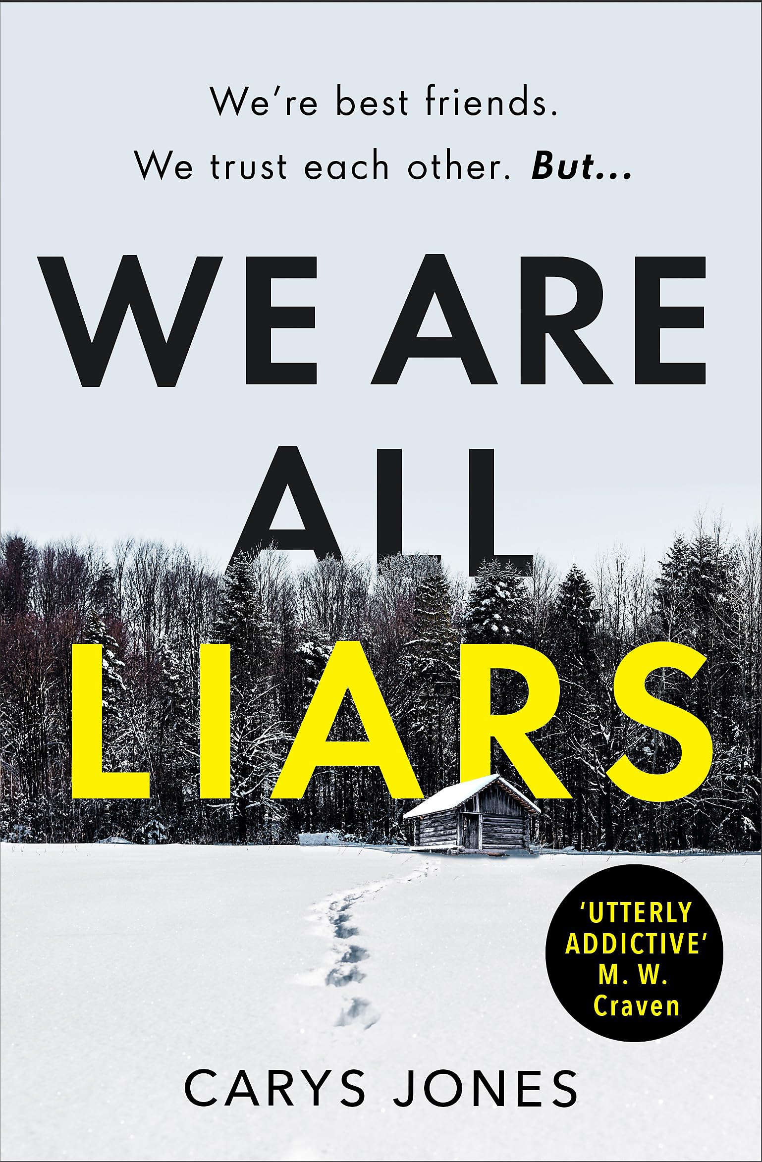 We Are All Liars Contemporary literature Books