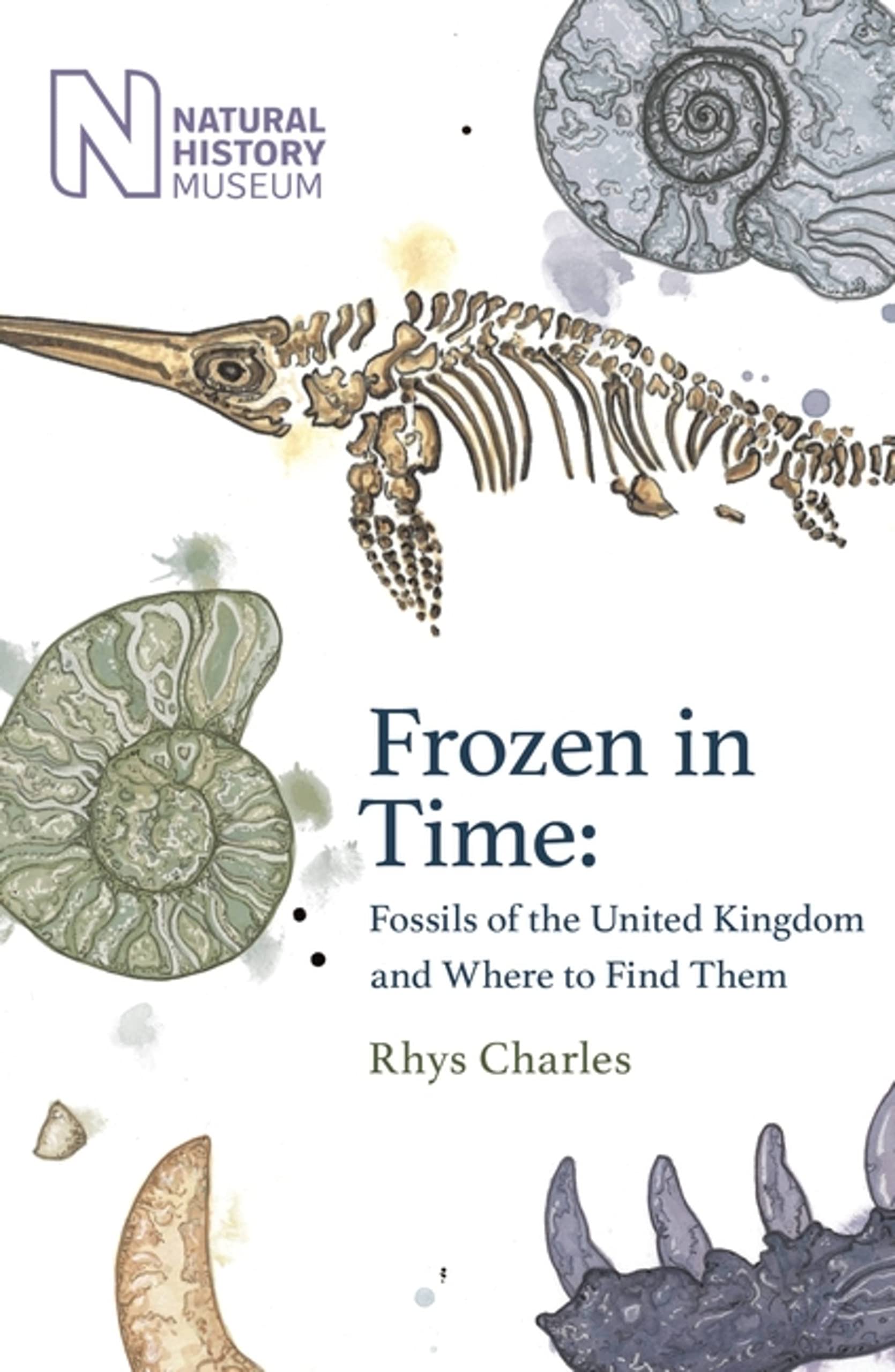 Frozen in Time: Fossils of the United Kingdom and Where to Find Them Social Sciences