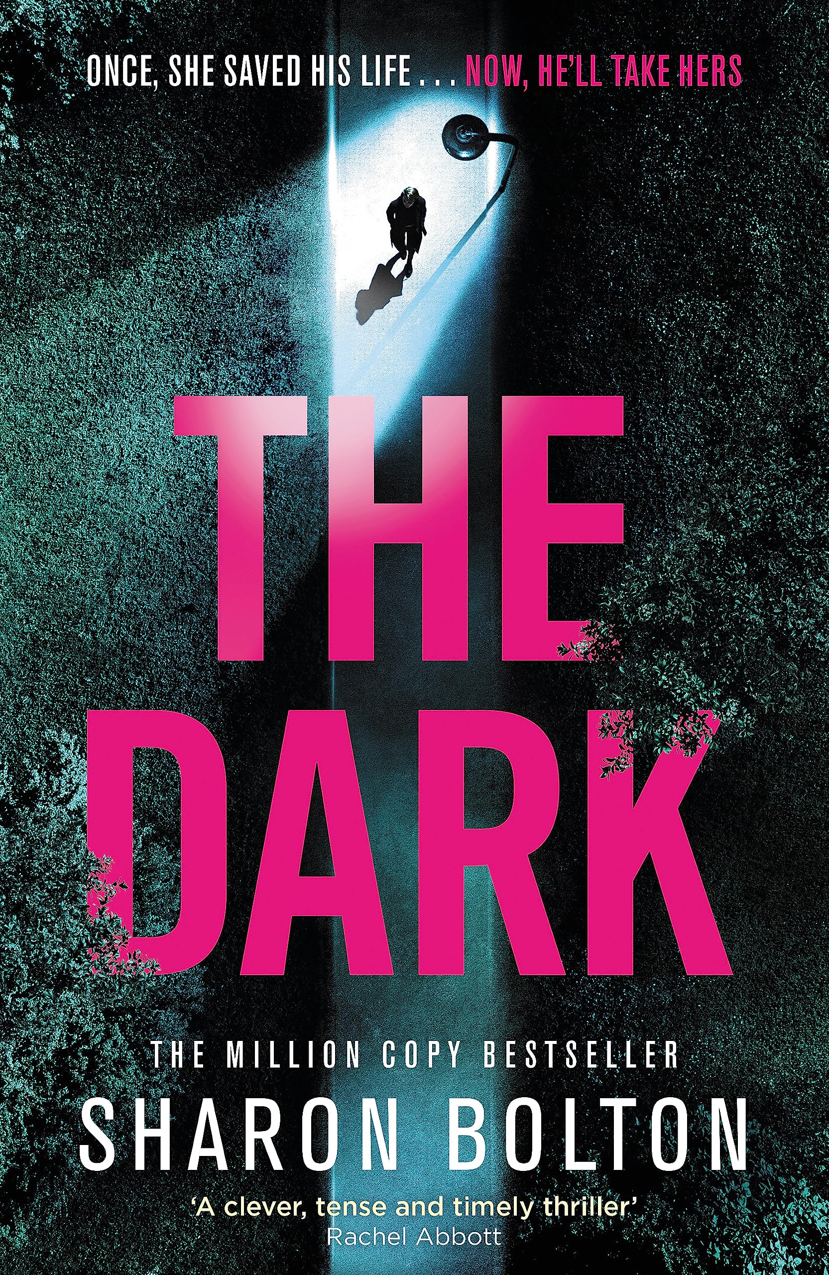 The Dark: A compelling, heart-racing, up-all-night thriller from Richard & Judy bestseller Sharon Bolton Contemporary literature