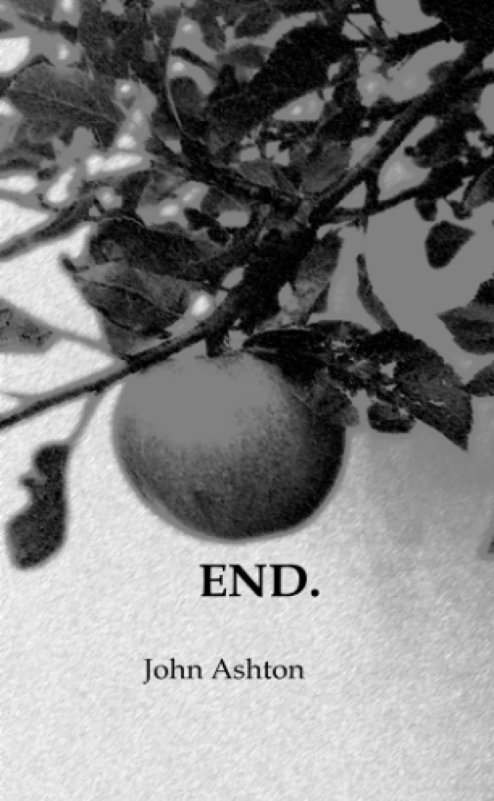 END Contemporary literature