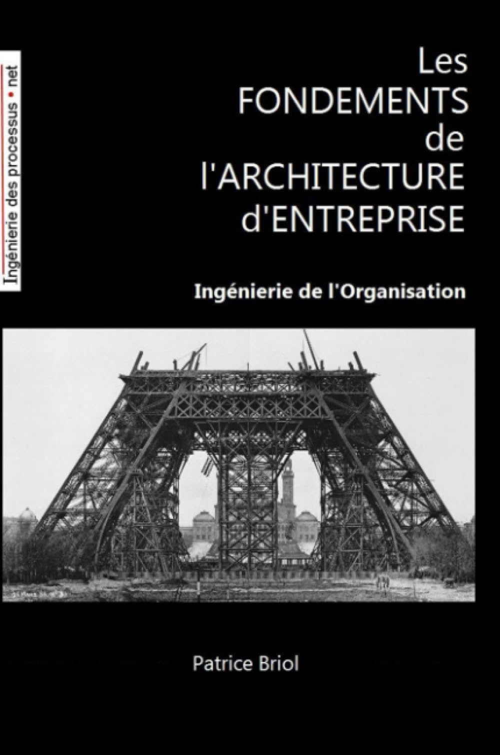 Les fondements de l'architecture d'entreprise book
