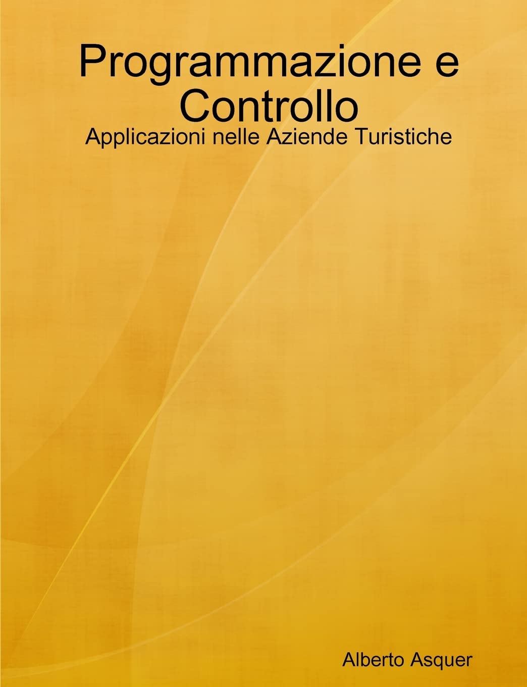 Programmazione e Controllo: Applicazioni nelle Aziende Turistiche book