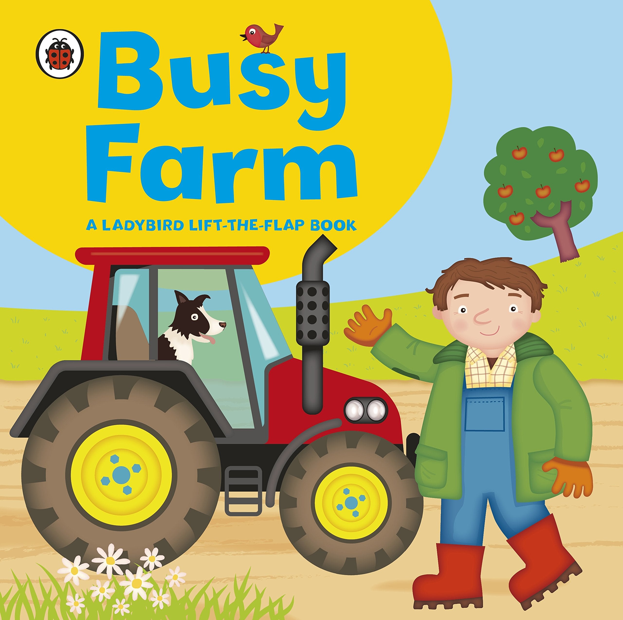 Ladybird lift-the-flap book: Busy Farm book