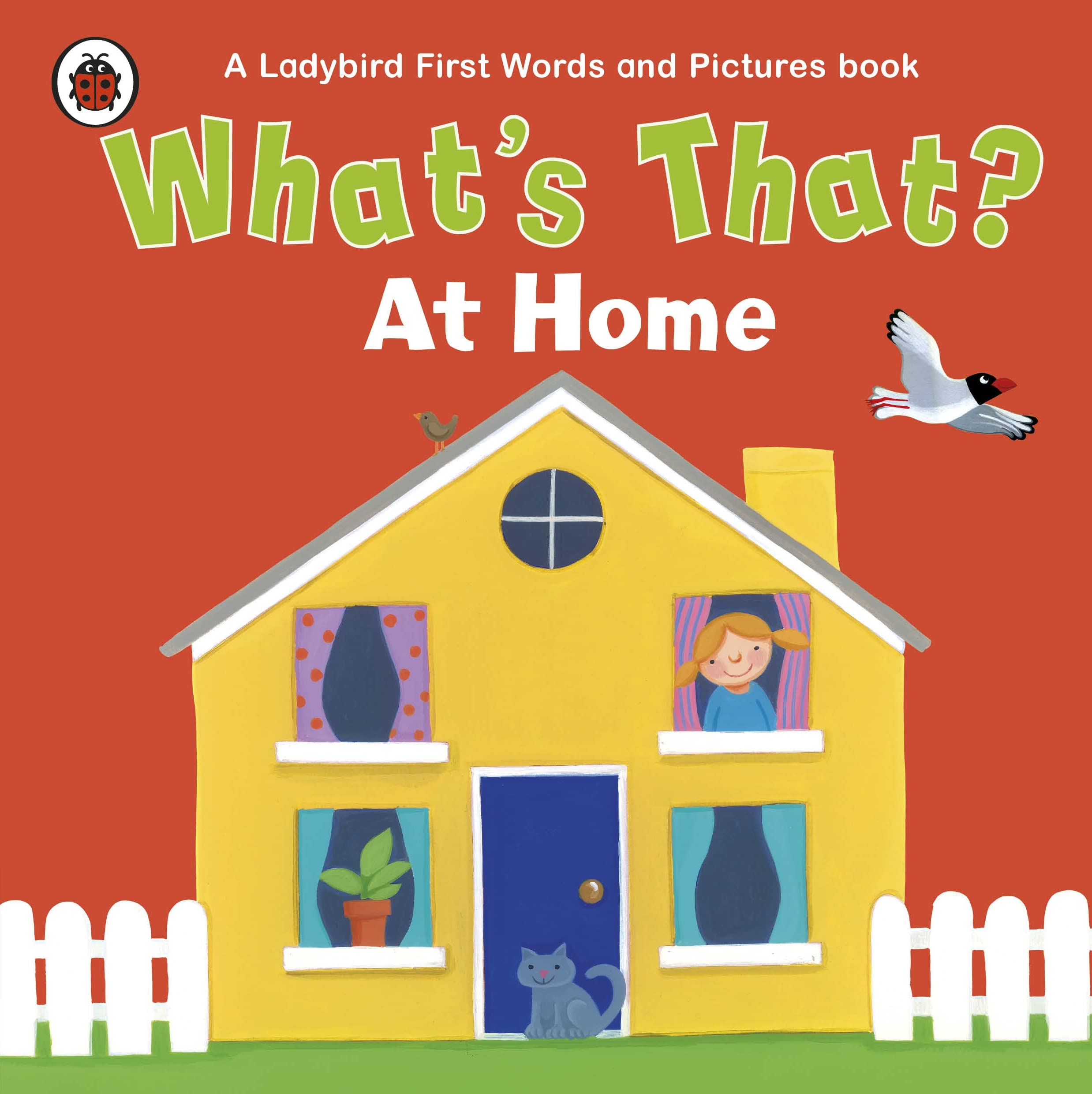 What's That? At Home A Ladybird First Words and Pictures Book (Rains Brothers) Non-fiction