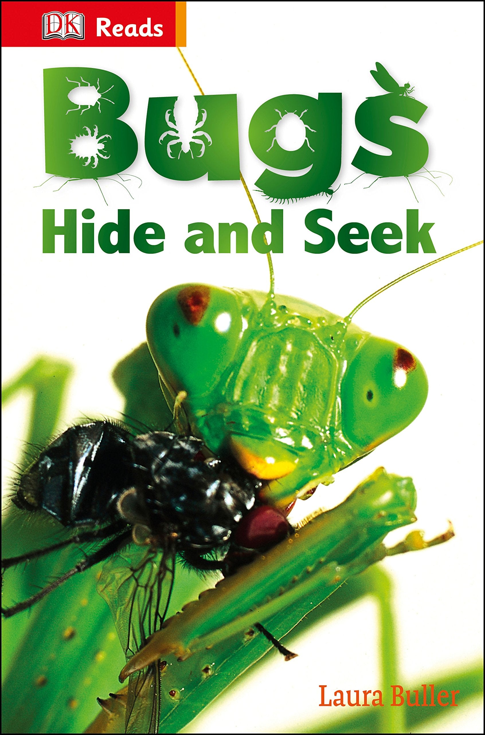 Bugs Hide and Seek (DK Reads Beginning To Read) Mathematics