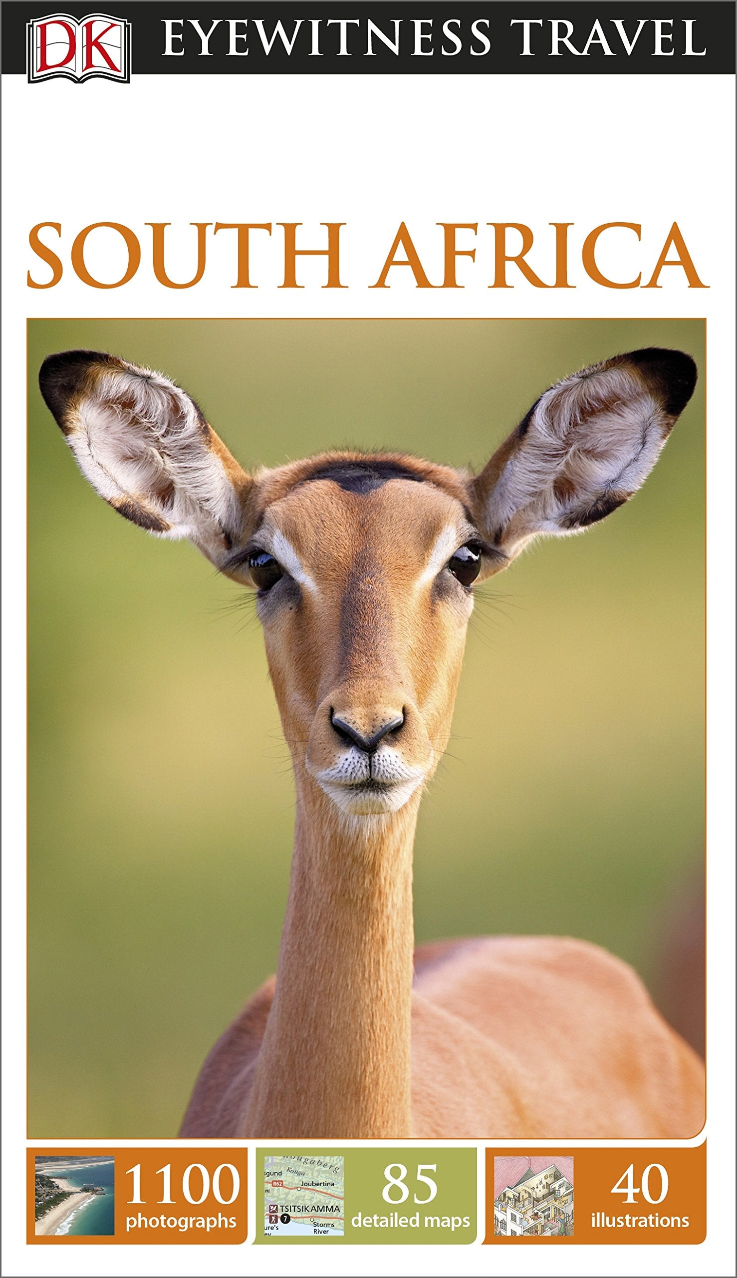 DK Eyewitness Travel Guide South Africa: DK Eyewitness Travel Guide 2015 Leisure, Home & Garden