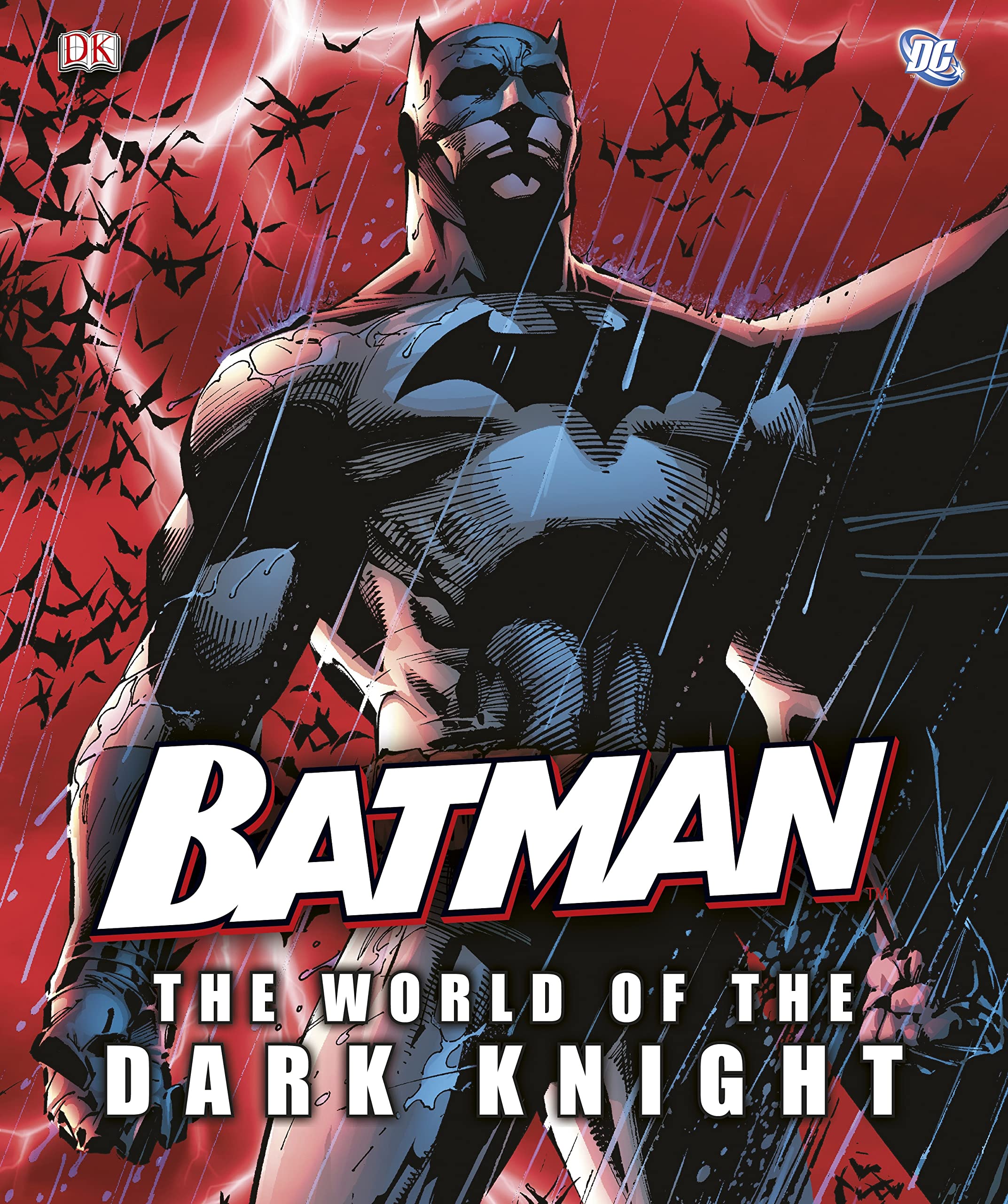 Batman The World of the Dark Knight book