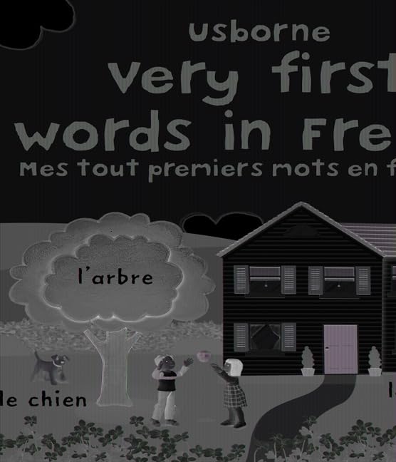 Very First Words in French Non-fiction