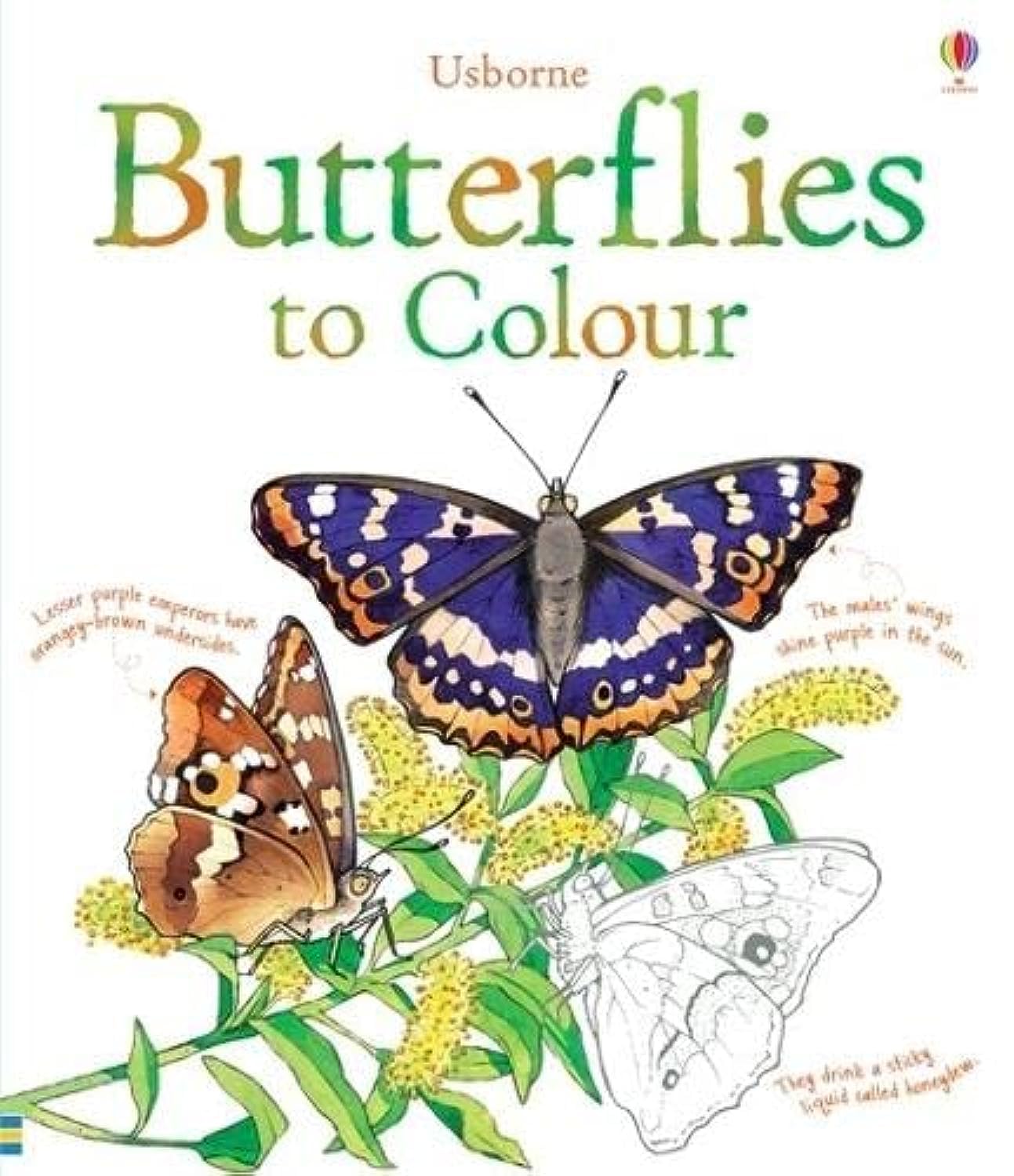 Butterflies to Colour (Colouring Books) Tiptoi & Games