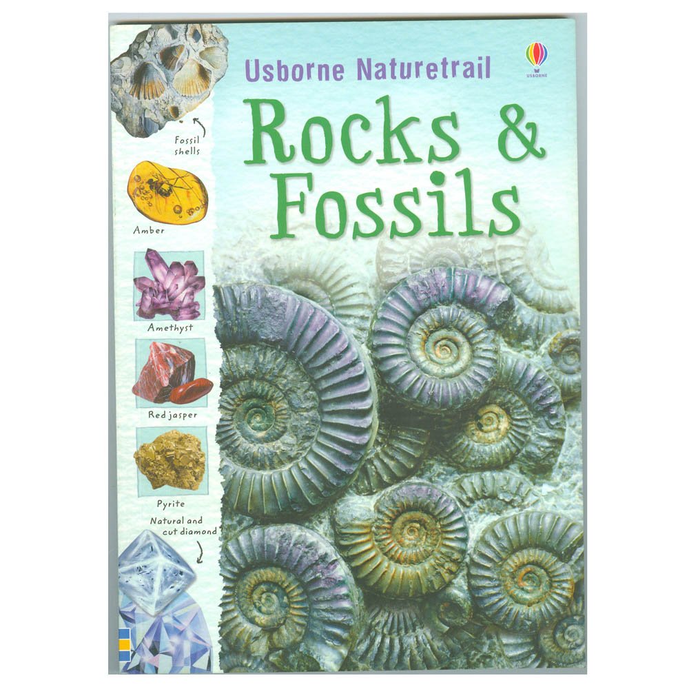 Rocks and Fossils: 1 (Naturetrail) Business & Technology