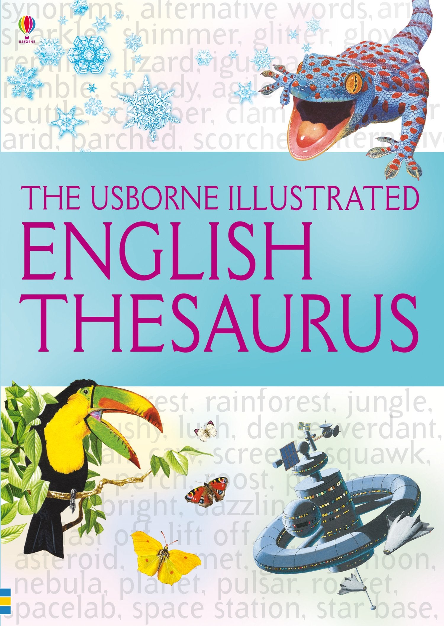 Usborne Illustrated English Thesaurus (Illustrated Dictionaries and Thesauruses) Reference Books