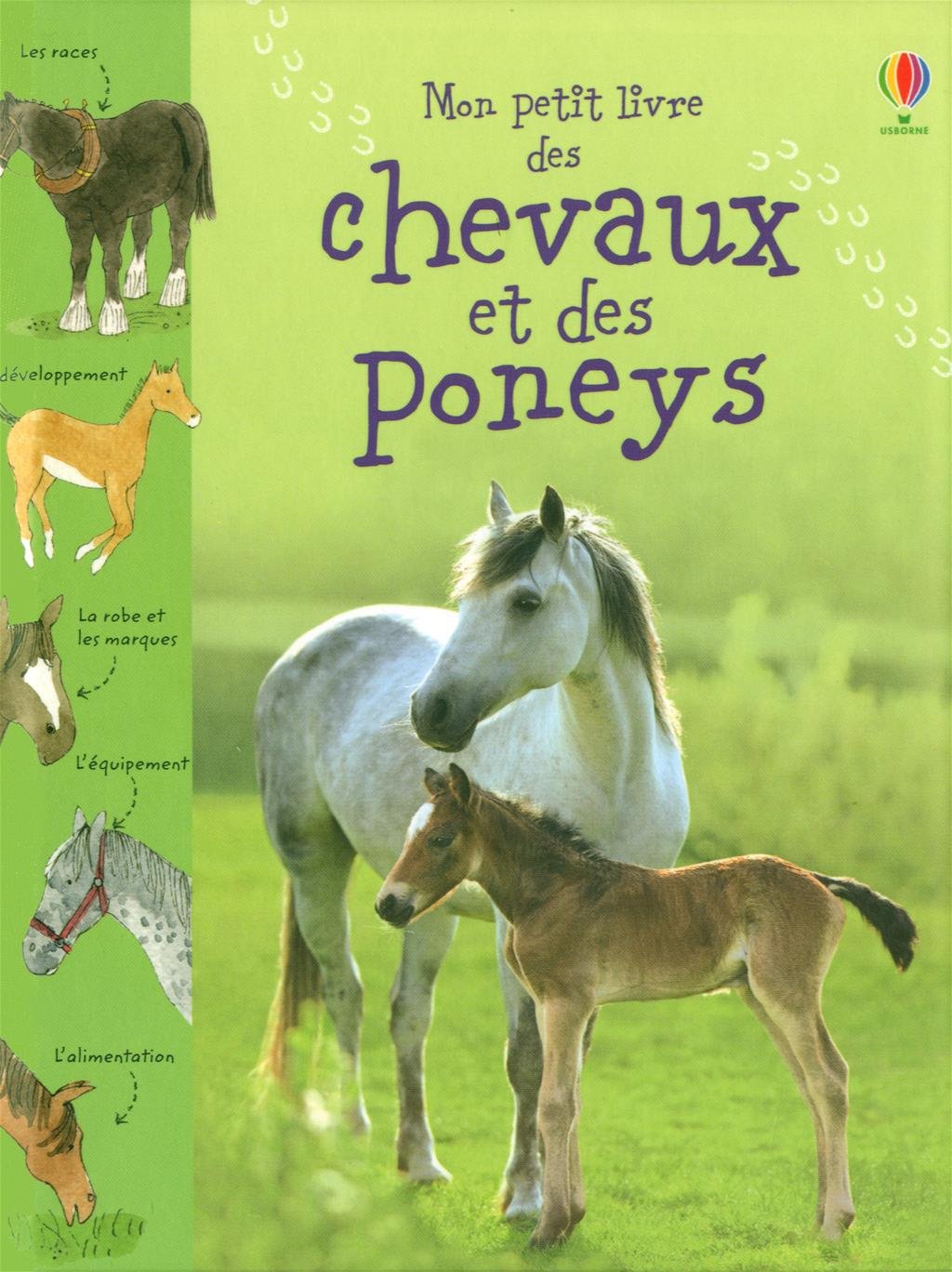 Mon petit livre des chevaux et poneys Books