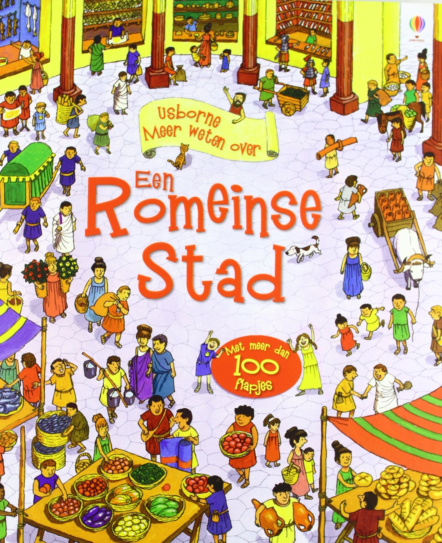 Meer weten over een Romeinse stad book