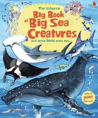 Big Book of Big Sea Creatures (Big Books) Non-fiction