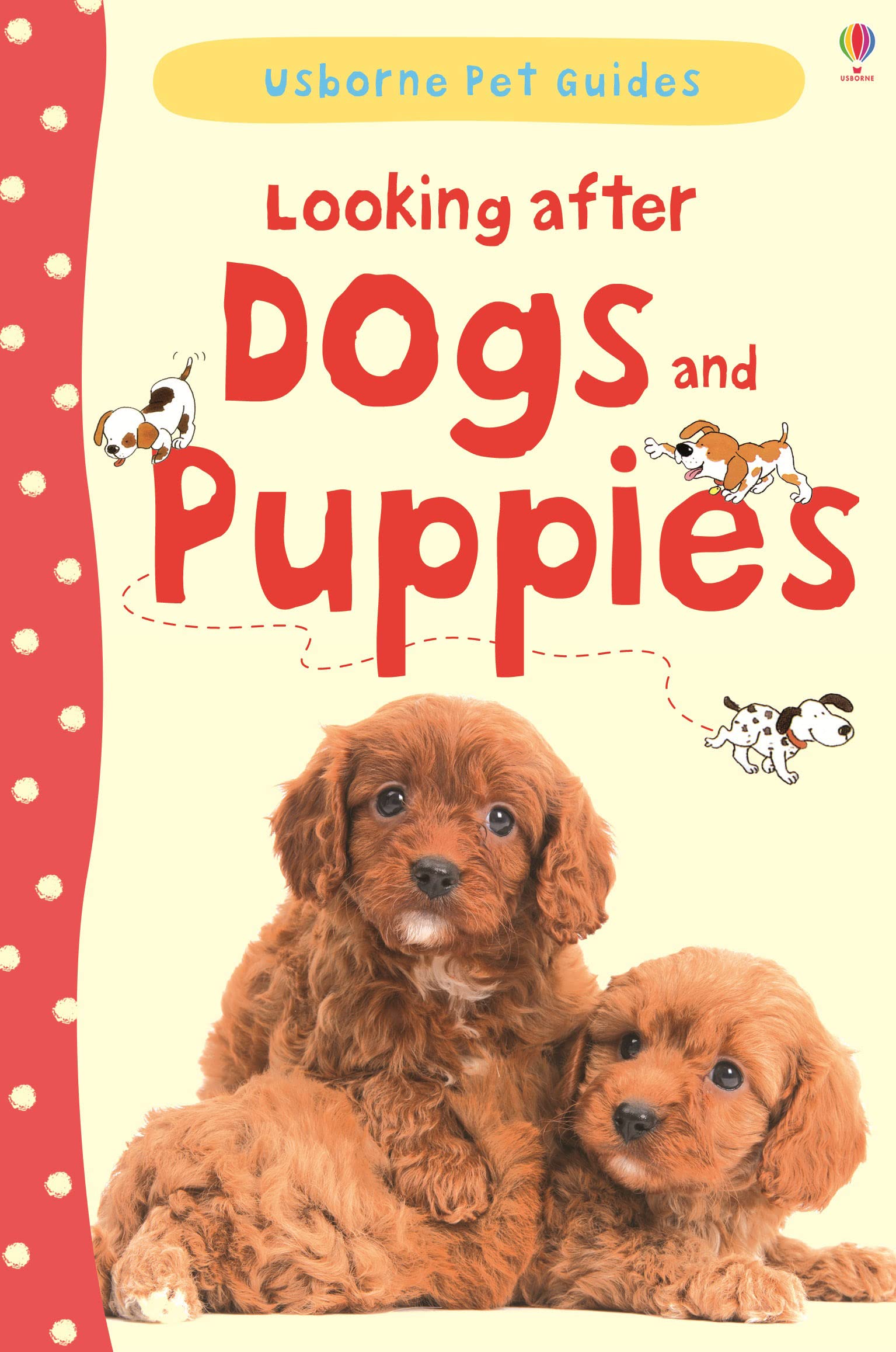 Looking after Dogs and Puppies Non-fiction