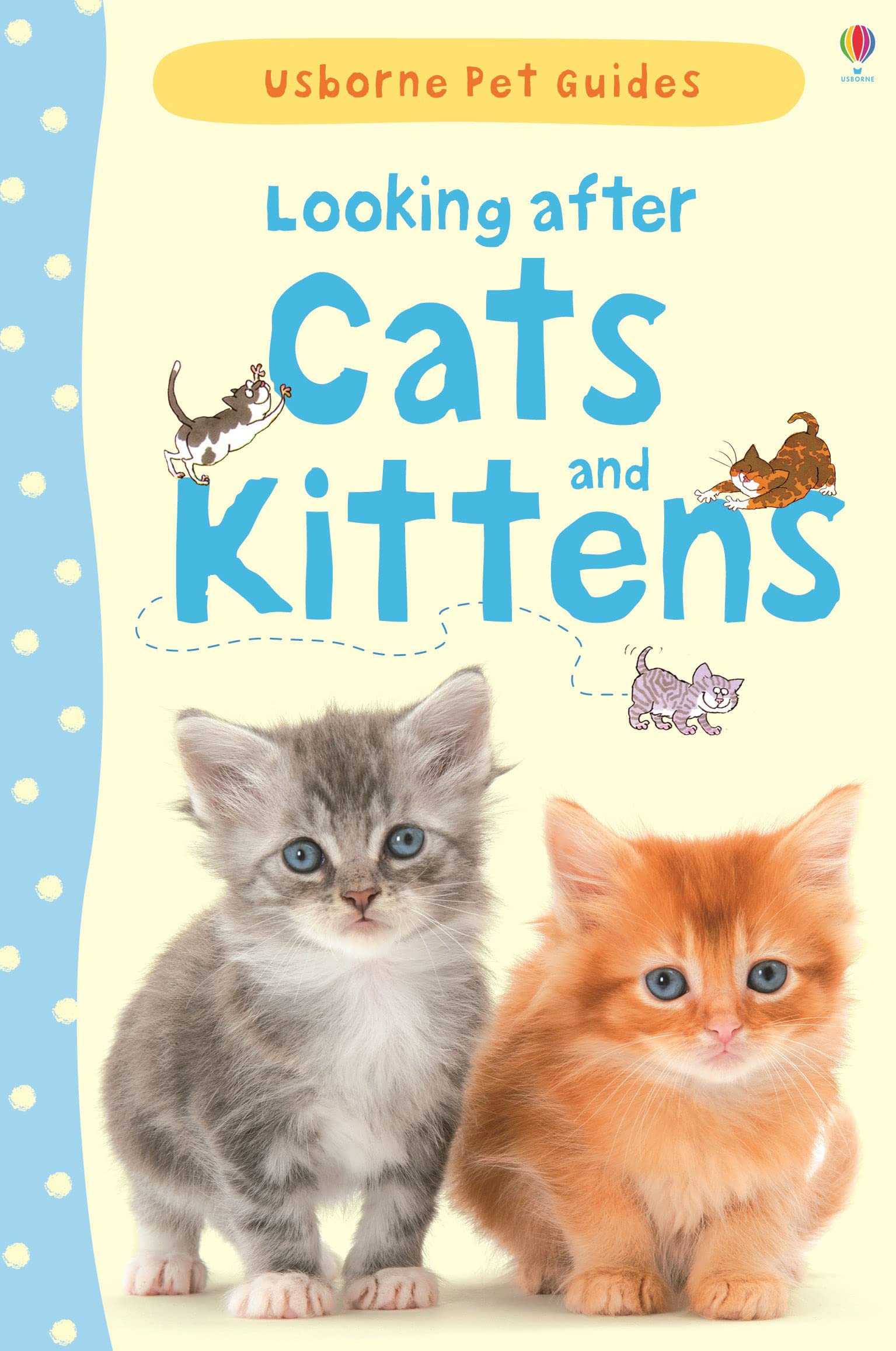 Product Image: Looking after Cats and Kittens
