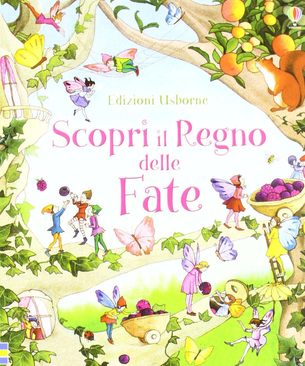 Scopri il regno delle fate. Ediz. illustrata book