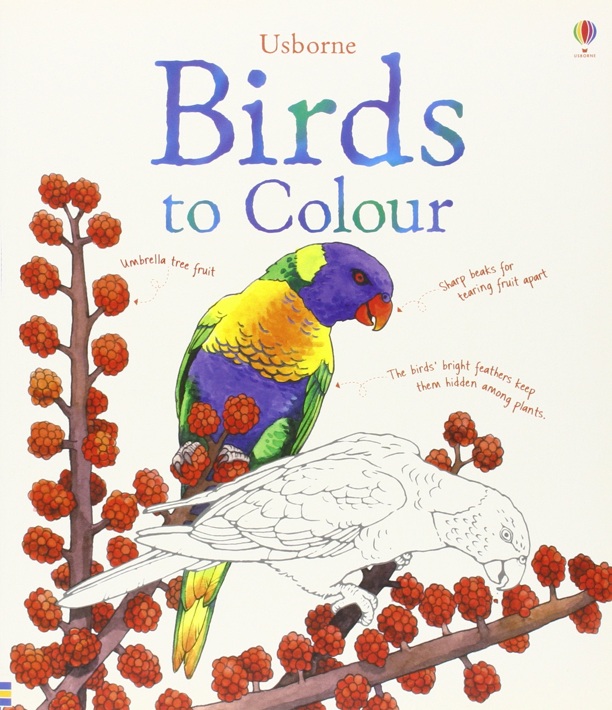 Birds to Colour (Colouring Books) Tiptoi & Games