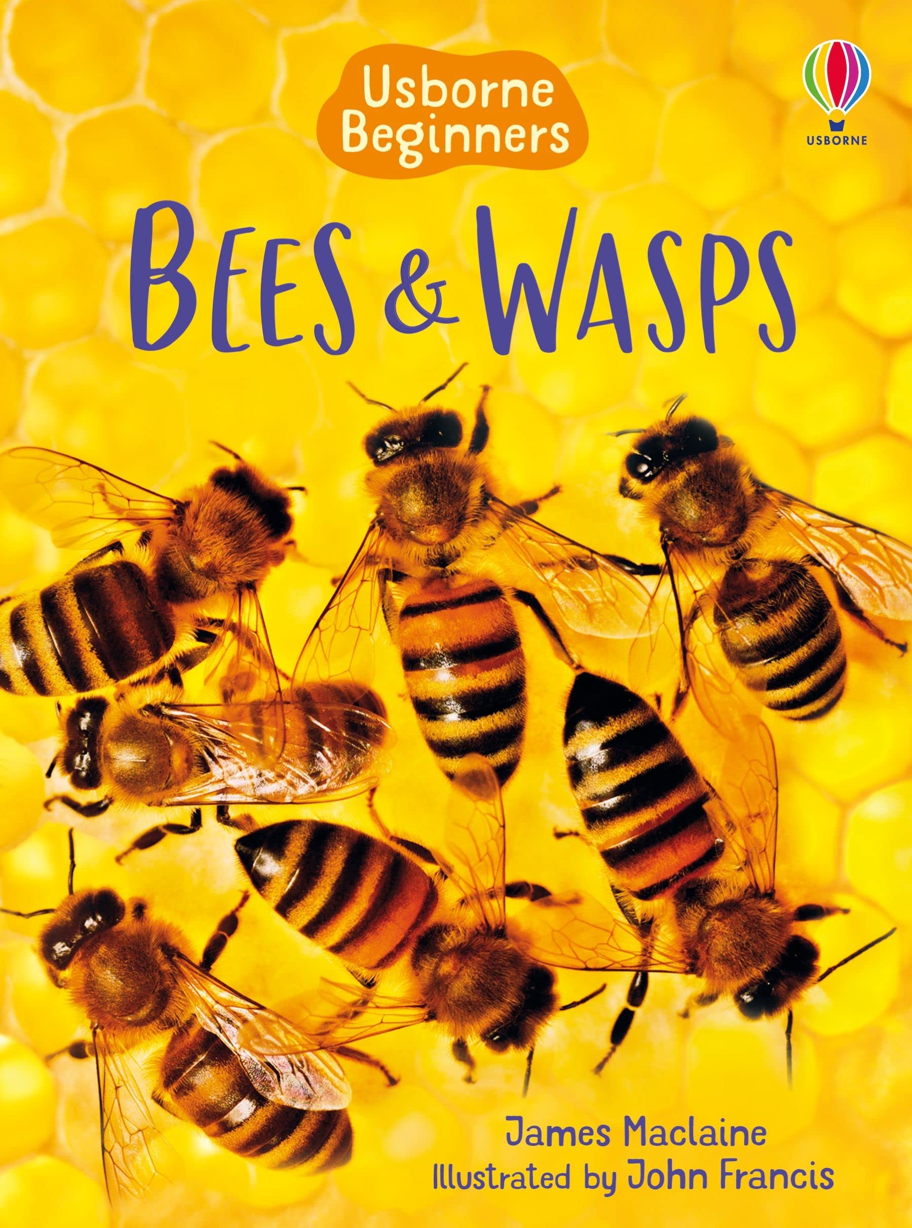 Product Image: Bees and Wasps