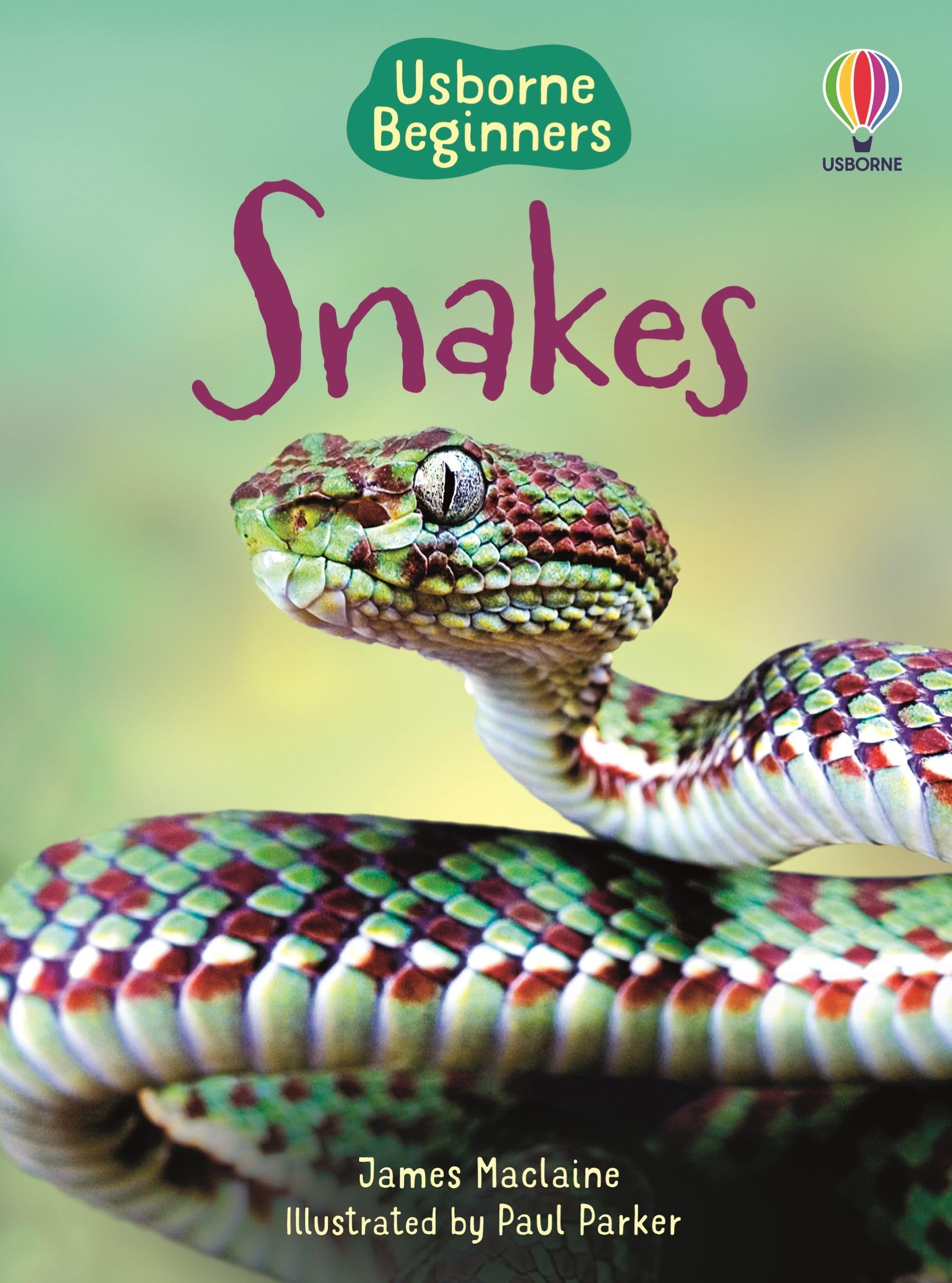 Snakes (Beginners) Non-fiction