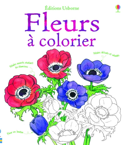 Product Image: Fleurs à colorier