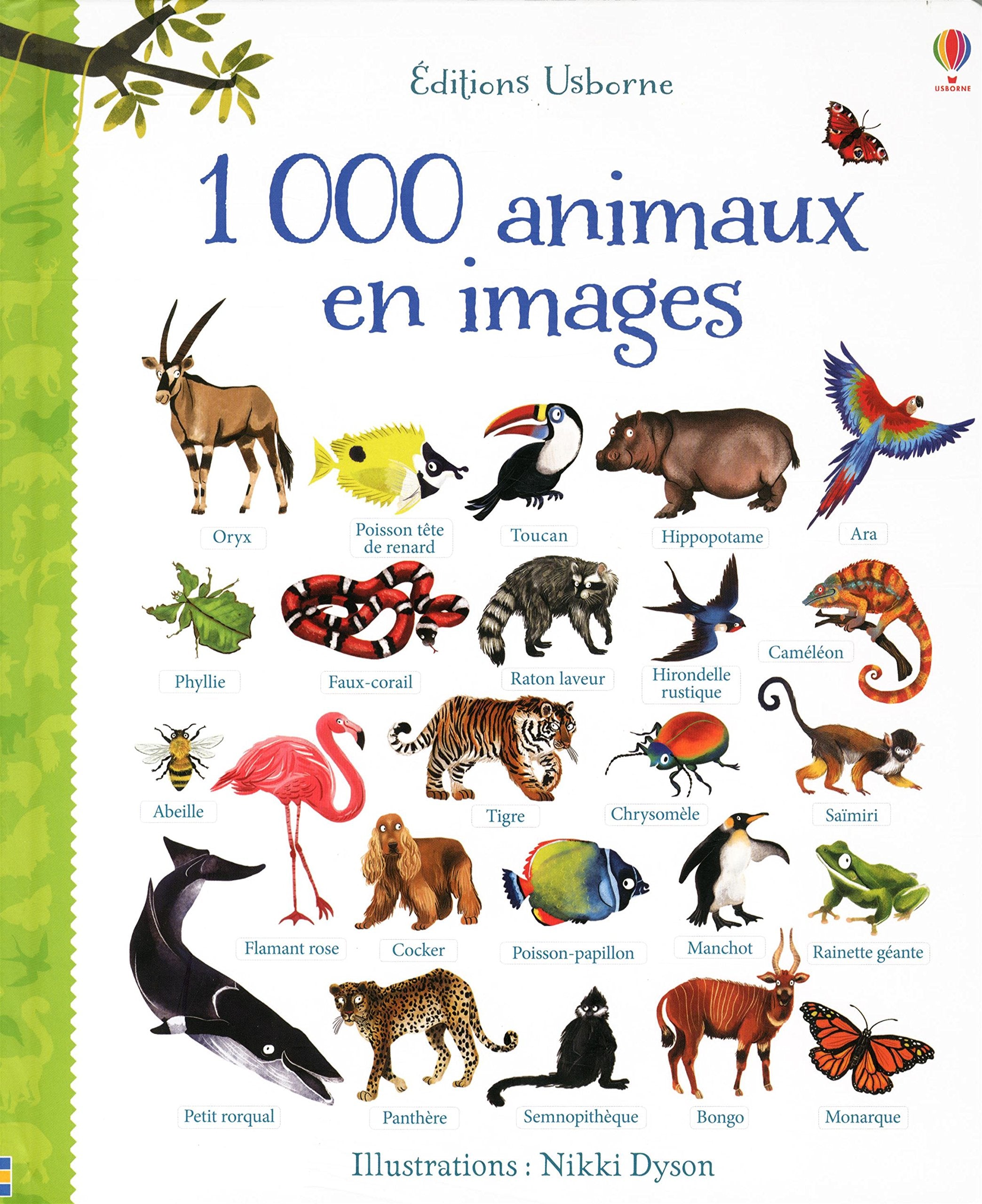 1000 animaux en images - 1000 images book