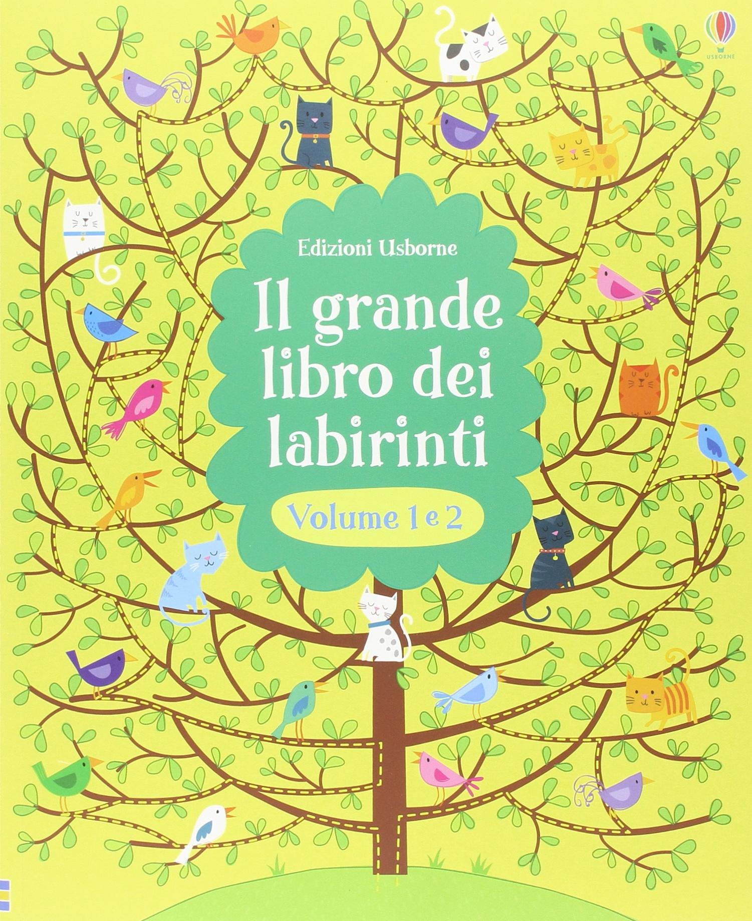 Il grande libro dei labirinti vol. 1-2. Ediz. illustrata book