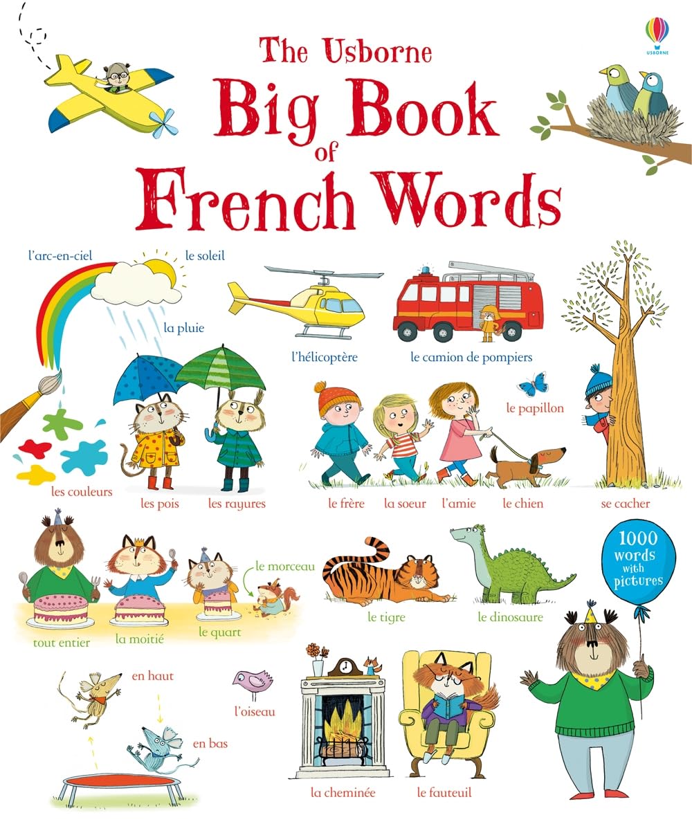 Big Book of French Words (Big Book of Words) Foreign Languages ​​& Dictionaries