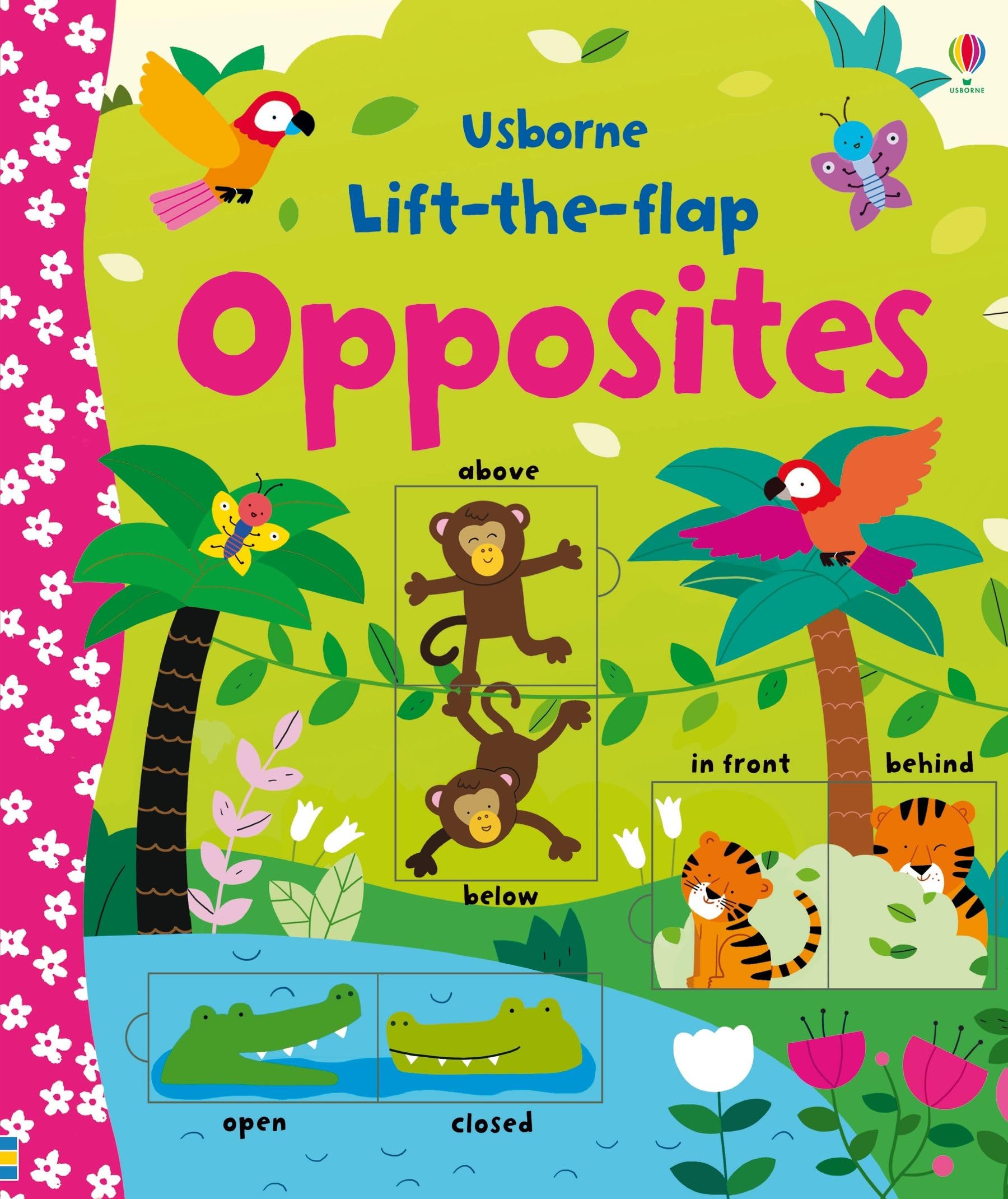 Lift-the-flap Opposites Non-fiction