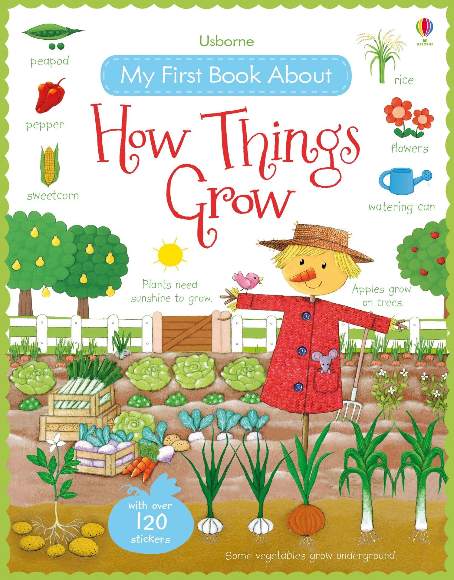 My First Book About How Things Grow (My First Books): 1 (All About) Non-fiction