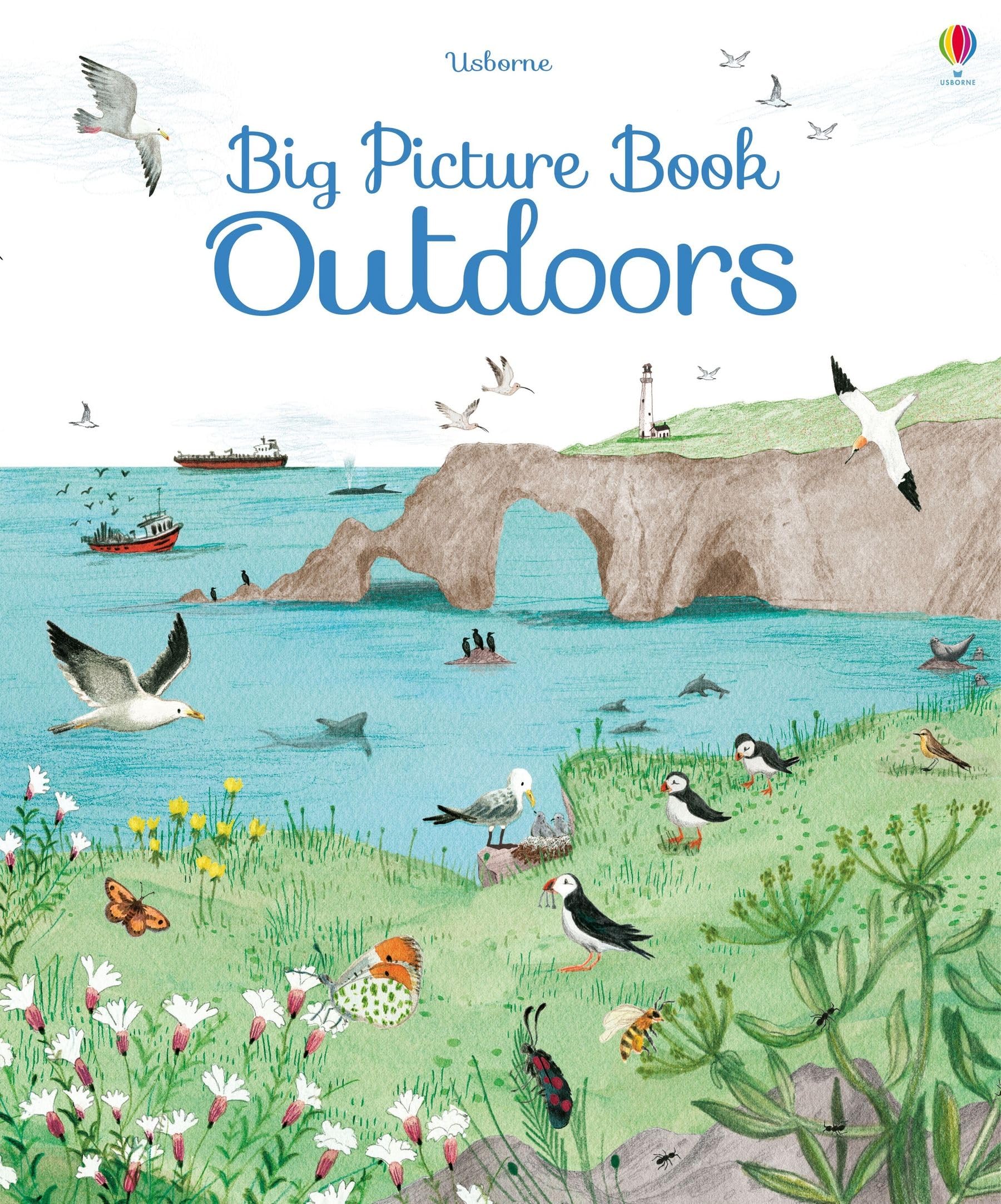 Big Picture Book Outdoors (Big Picture Books) Non-fiction