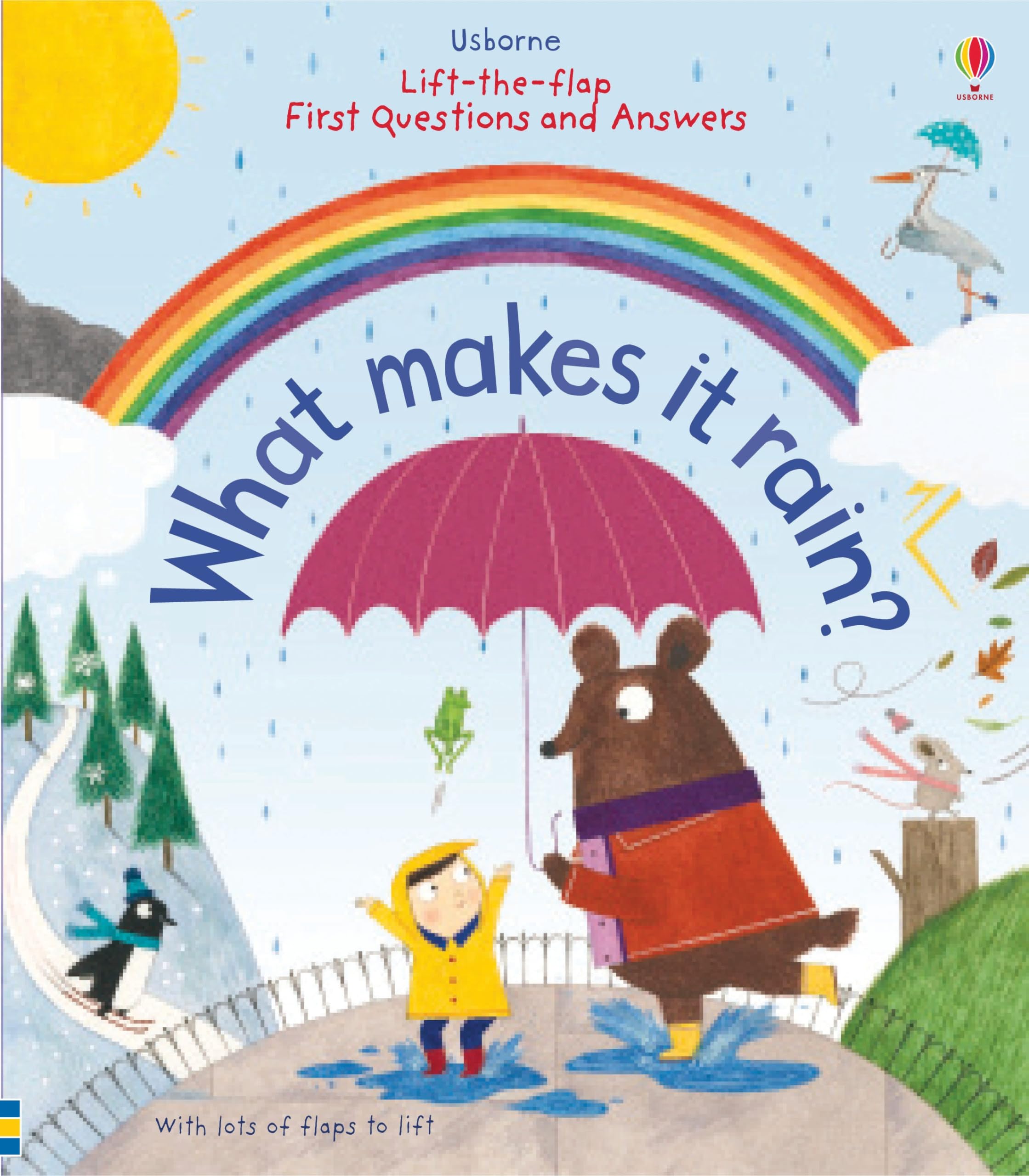 Lift-the-Flap First Questions and Answers What Makes it Rain? Non-fiction