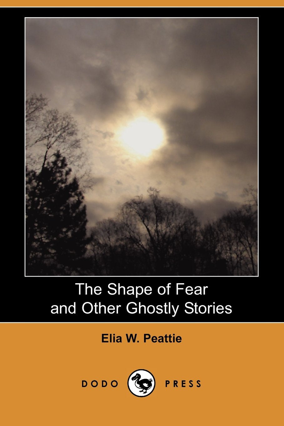 The Shape of Fear and Other Ghostly Stories Contemporary literature