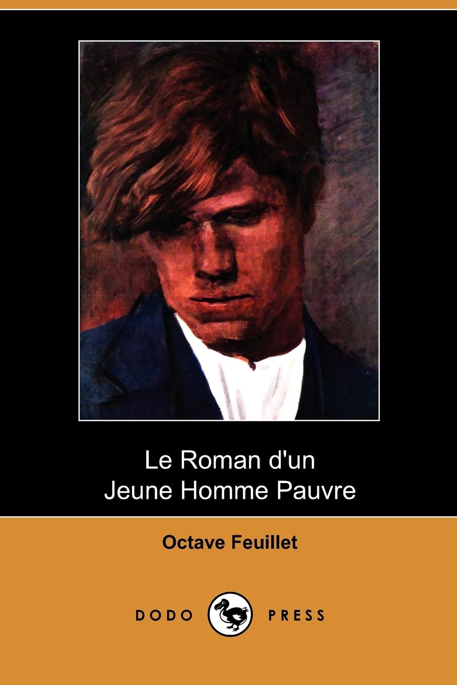 Le Roman D'un Jeune Homme Pauvre book