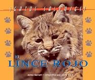 El Lince Rojo/the Bobcat (Gatos Salvajes/Wild Cats) Non-fiction