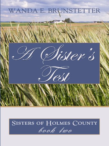 A Sister's Test (Thorndike Press Large Print Christian Romance Series: Sisters of Holmes County, 2, Band 2) Religion & Esotericism