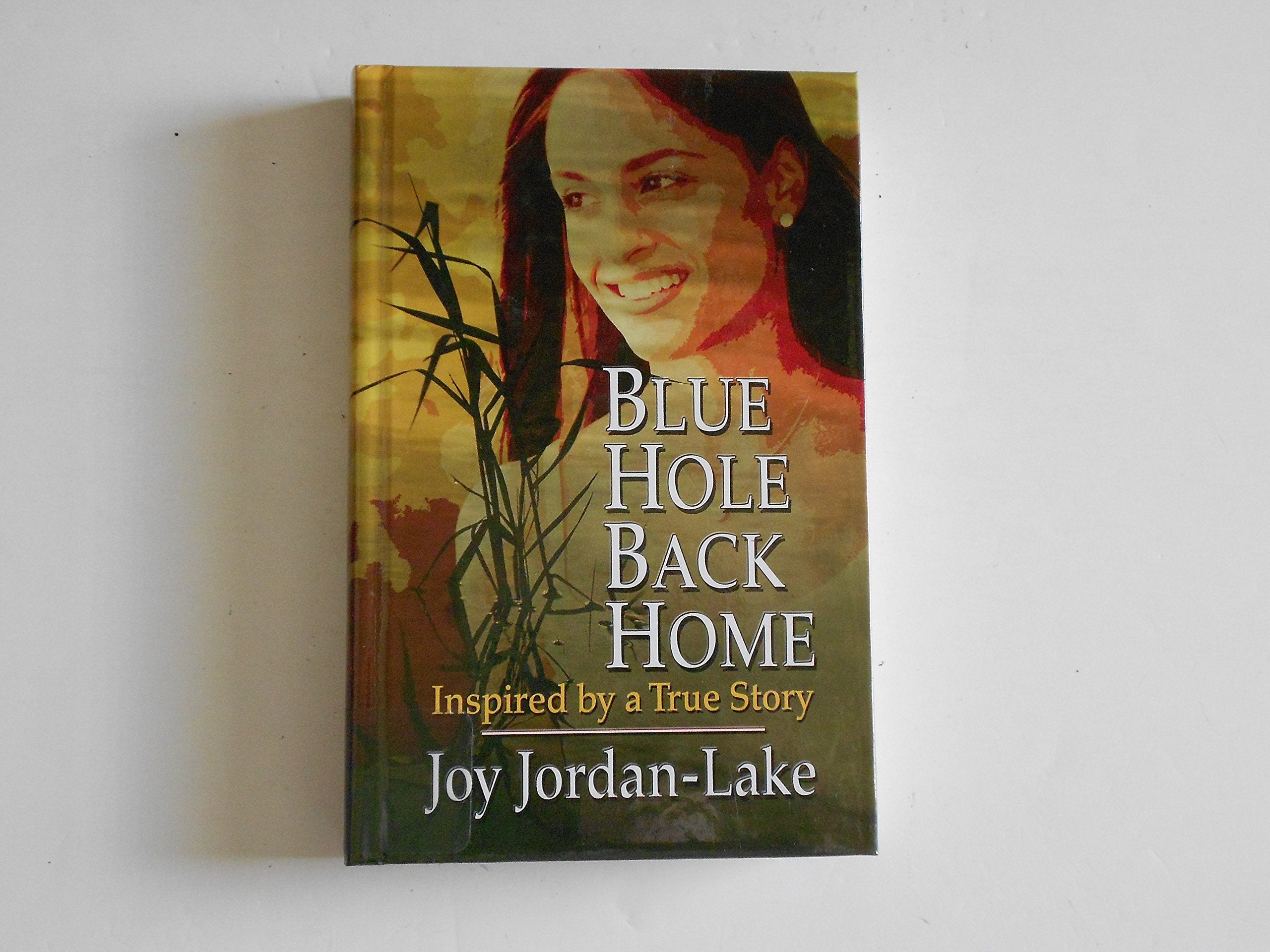 Blue Hole Back Home: Inspired by a True Story (Thorndike Press Large Print Christian Fiction) Contemporary literature