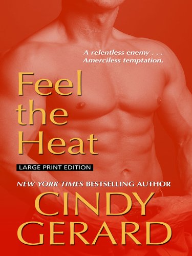 Feel the Heat (Black Ops Inc, 4, Band 4) Poetry