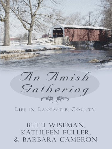 An Amish Gathering: Life in Lancaster County: Three Amish Novellas (Thorndike Press Large Print Christian Romance) Religion & Esotericism