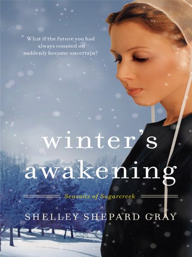 Winter's Awakening (Seasons of Sugarcreek, 1, Band 1) Religion & Esotericism