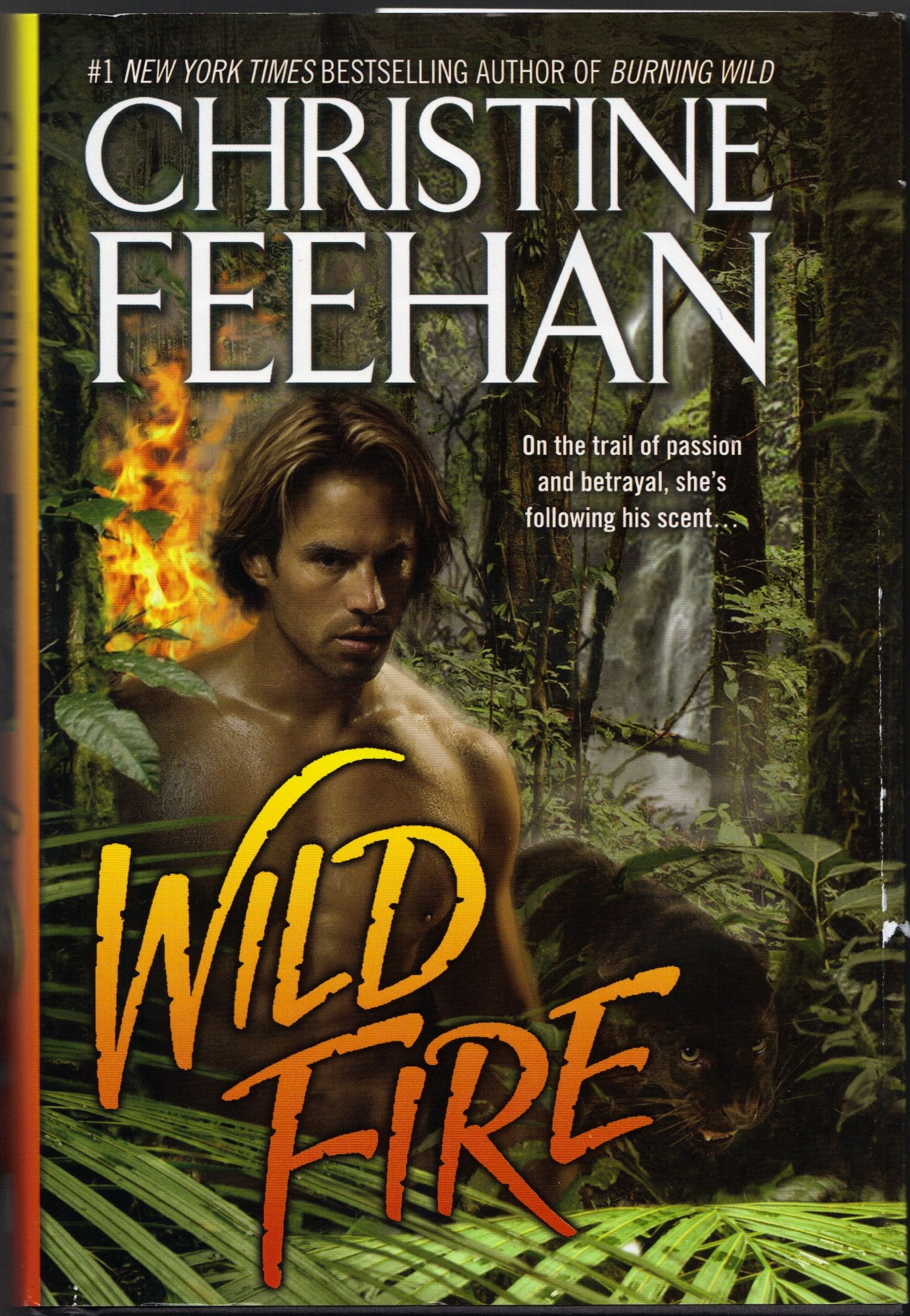 Wild Fire (Thorndike Press Large Print Romance Series) Romantic Fantasy