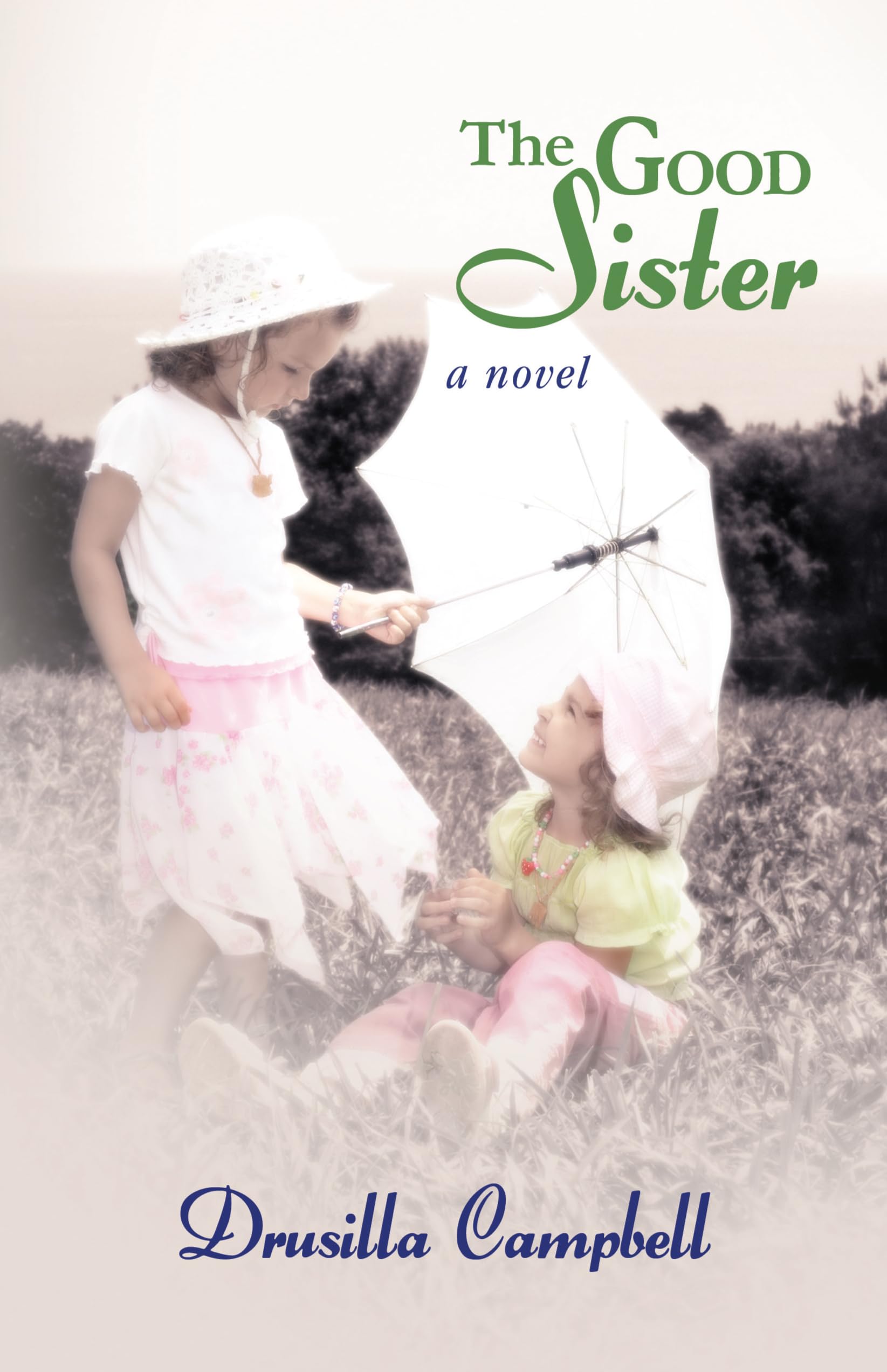 The Good Sister (Thorndike Press Large Print Superior Collection) Contemporary literature