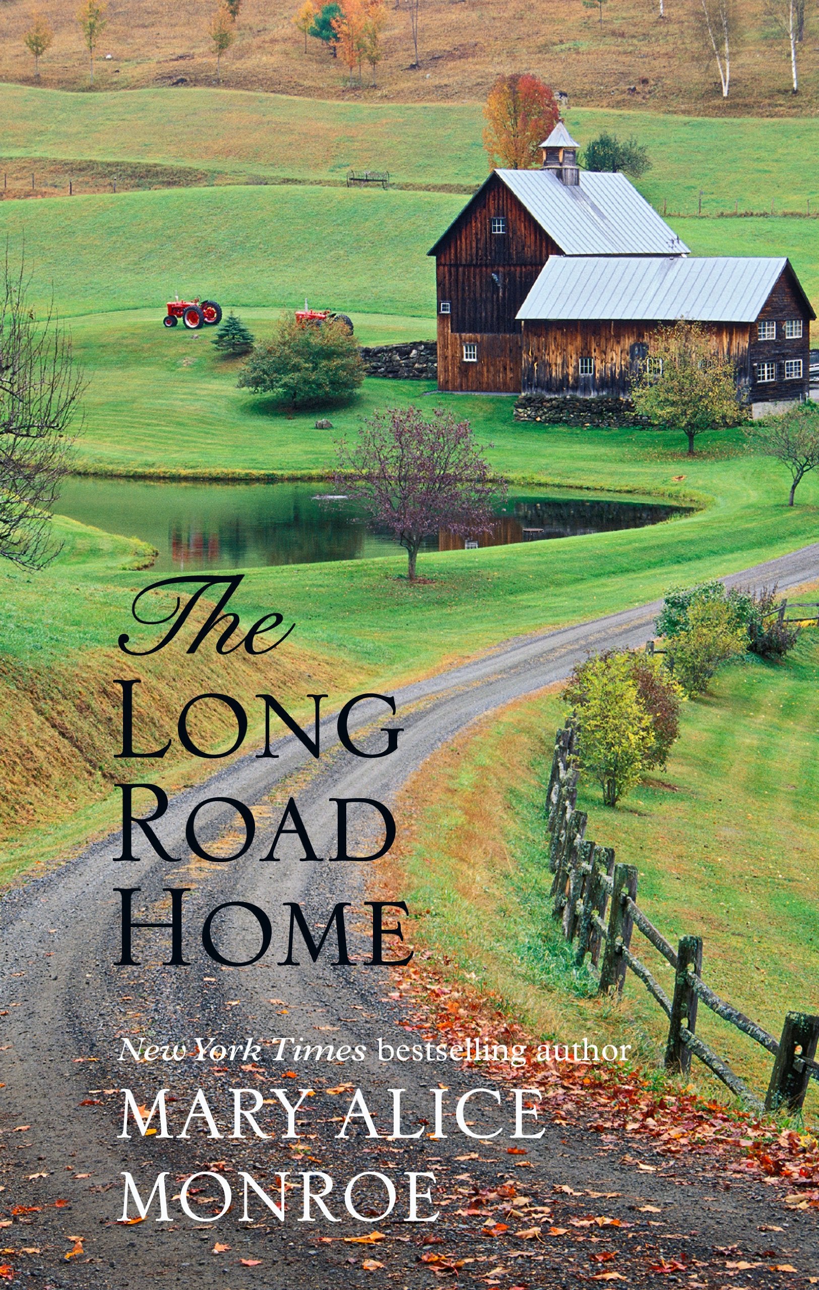 The Long Road Home (Thorndike Press Large Print Superior Collection) Contemporary Romance