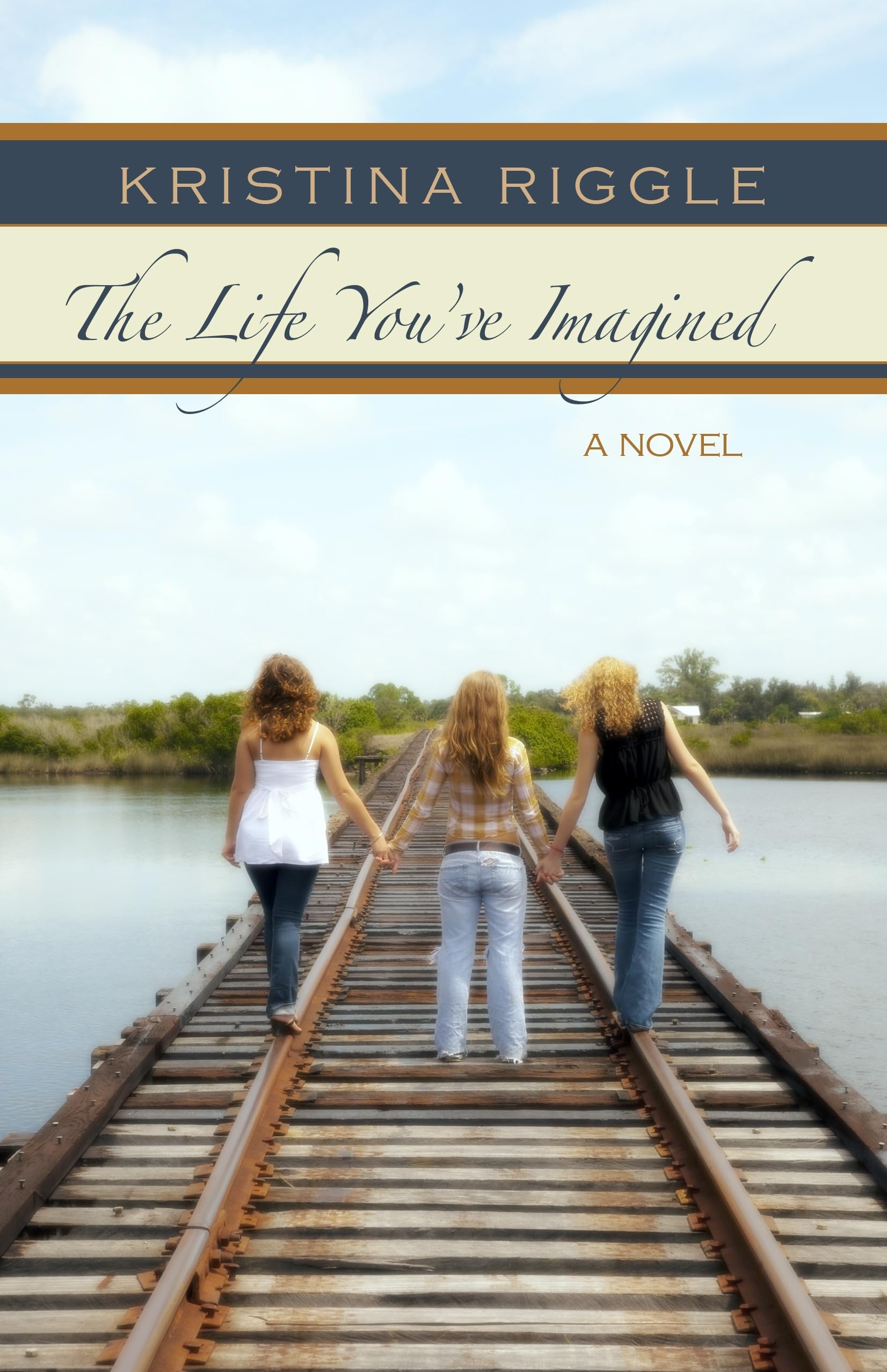 The Life You've Imagined (Thorndike Press Large Print Superior Collection) Contemporary literature