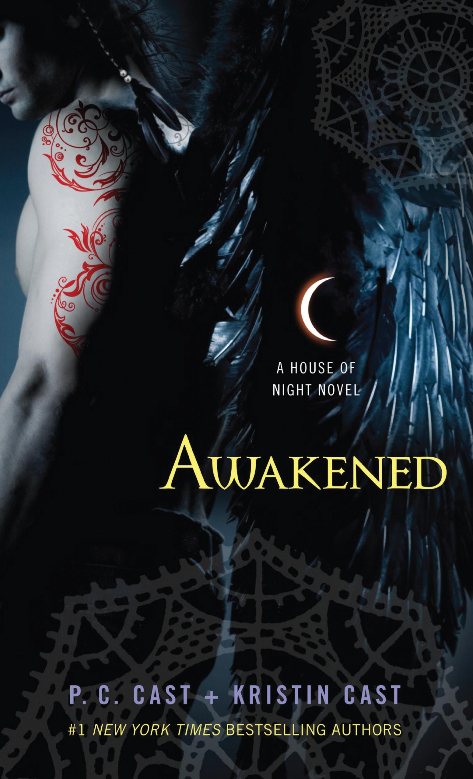 Awakened (Thorndike Press Large Print Literacy Bridge Series) book